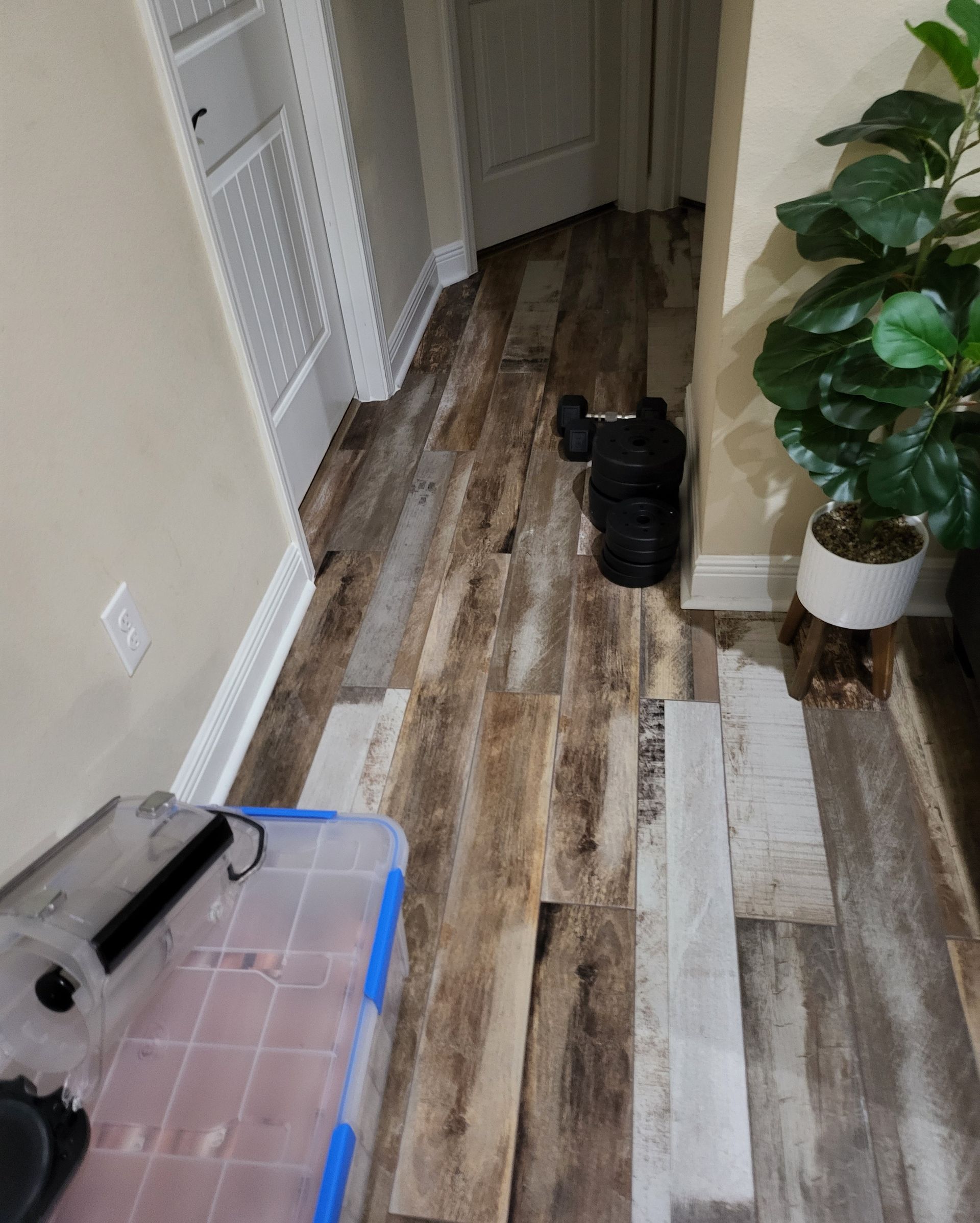 Narrow hallway with wood-look flooring, black boots, and a potted plant by the wall.