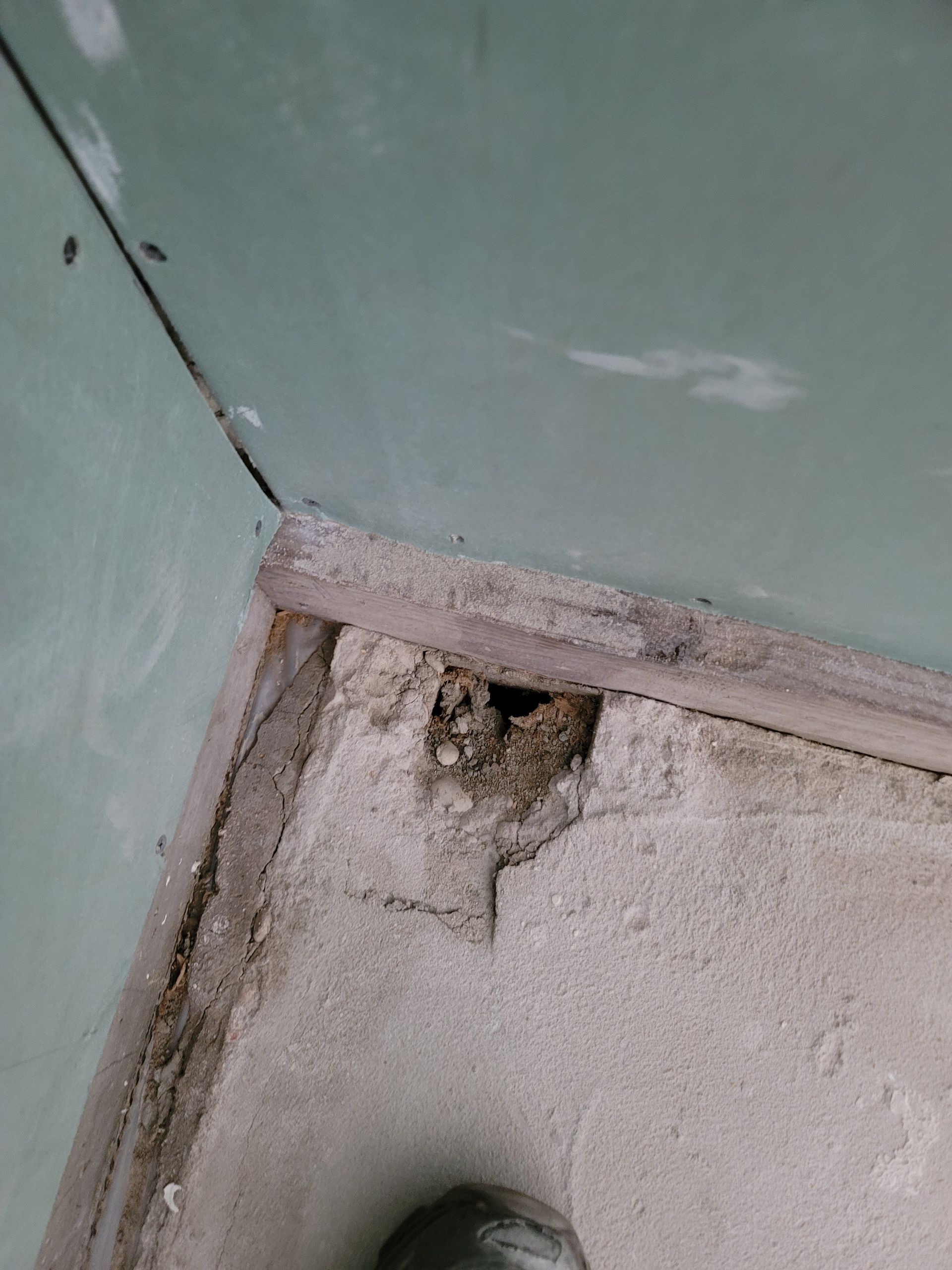 Close-up of a damaged wall corner with peeling paint and crumbling plaster by the ceiling.