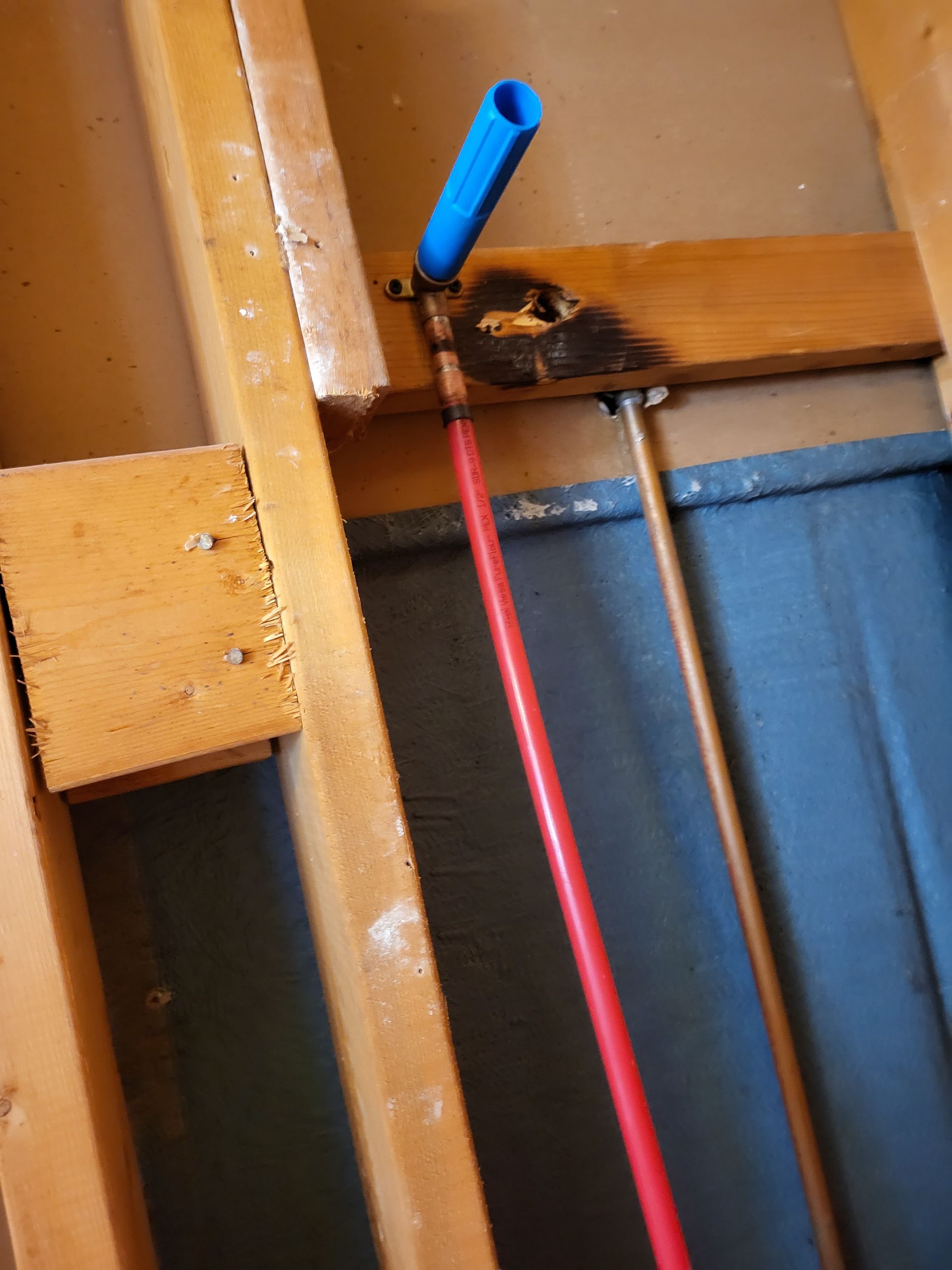 Blue pipe and red cable fastened to wooden framing inside a wall cavity