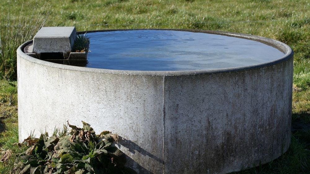 Concrete Water Tank Filled with Water in A Grassy Outdoor Area — Water Top Ups Gympie in Nahrunda, QLD