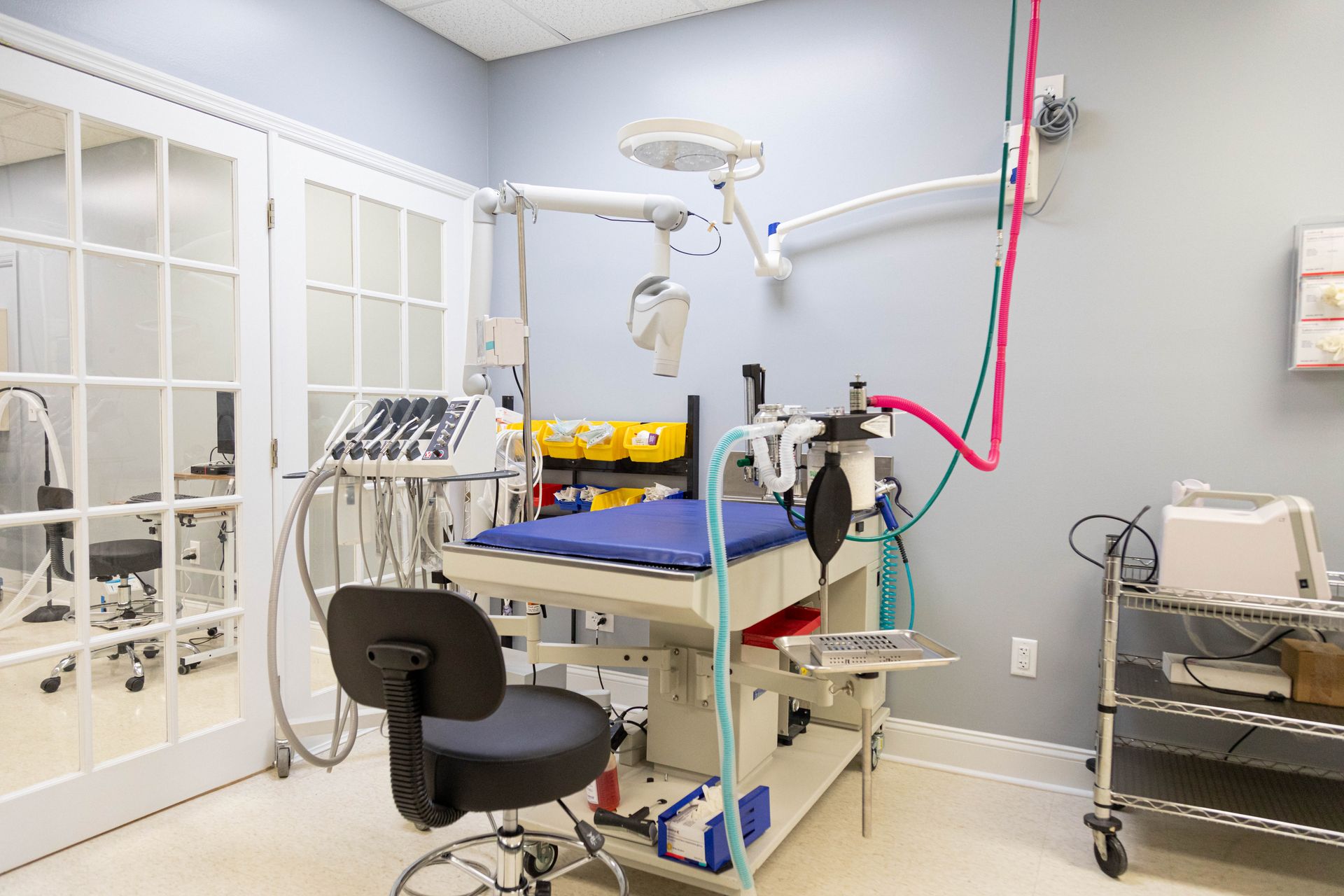 Veterinary operating room with surgical table, equipment, and medical instruments.