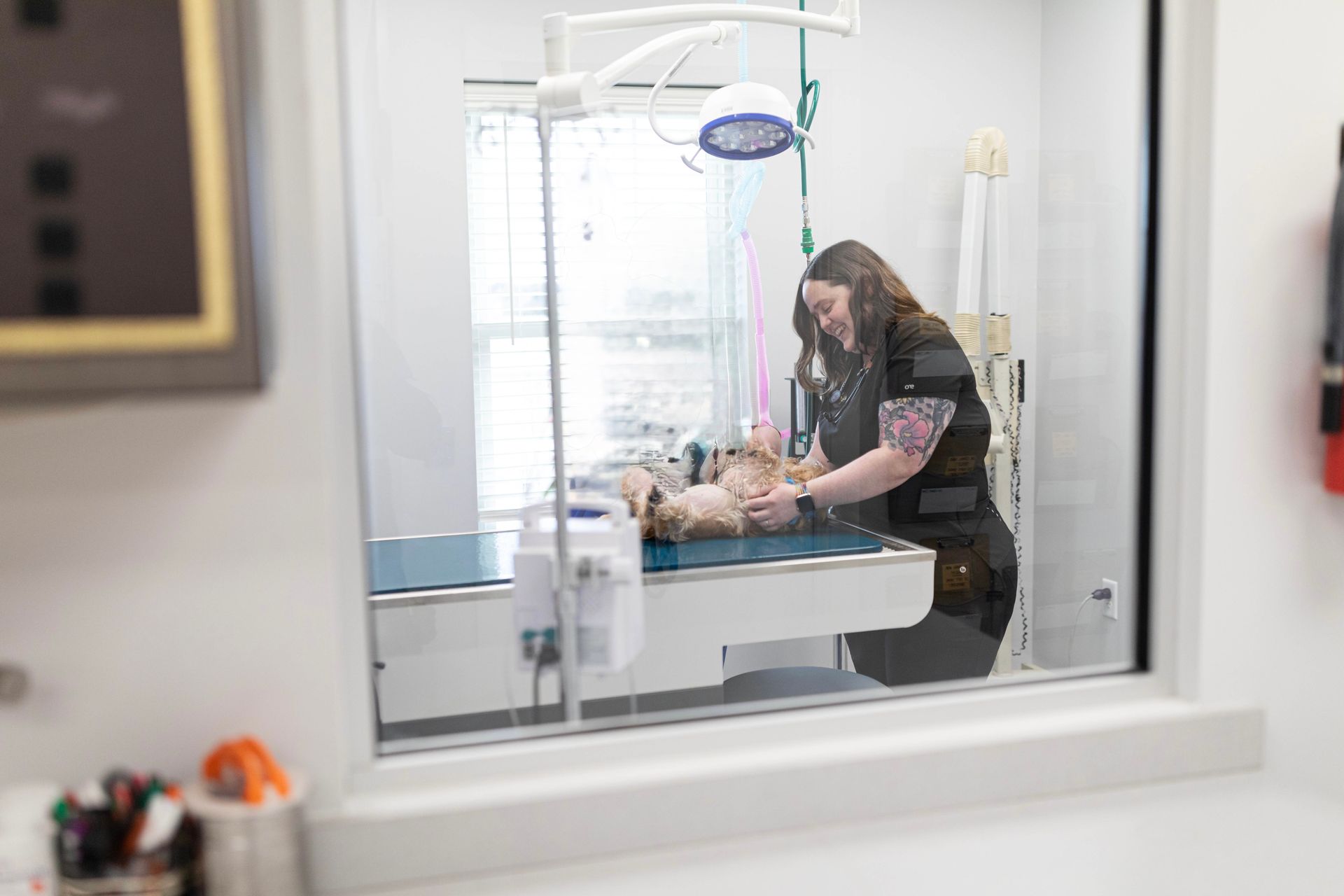 Veterinarian examining a small dog on an X-ray table, behind a glass window.
