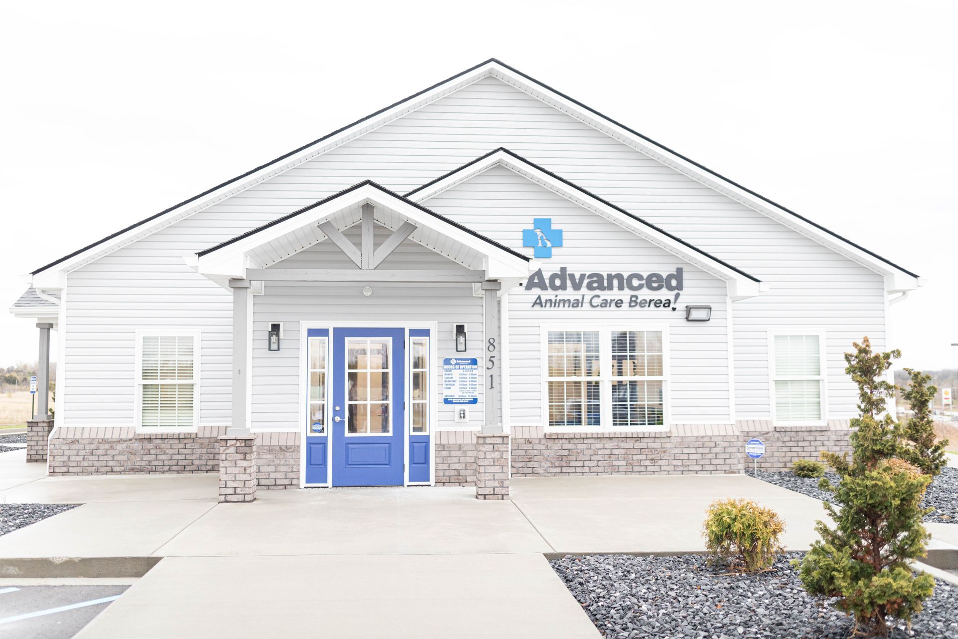 Woman in blue scrubs smiles, holding two small white dogs in a vet clinic.