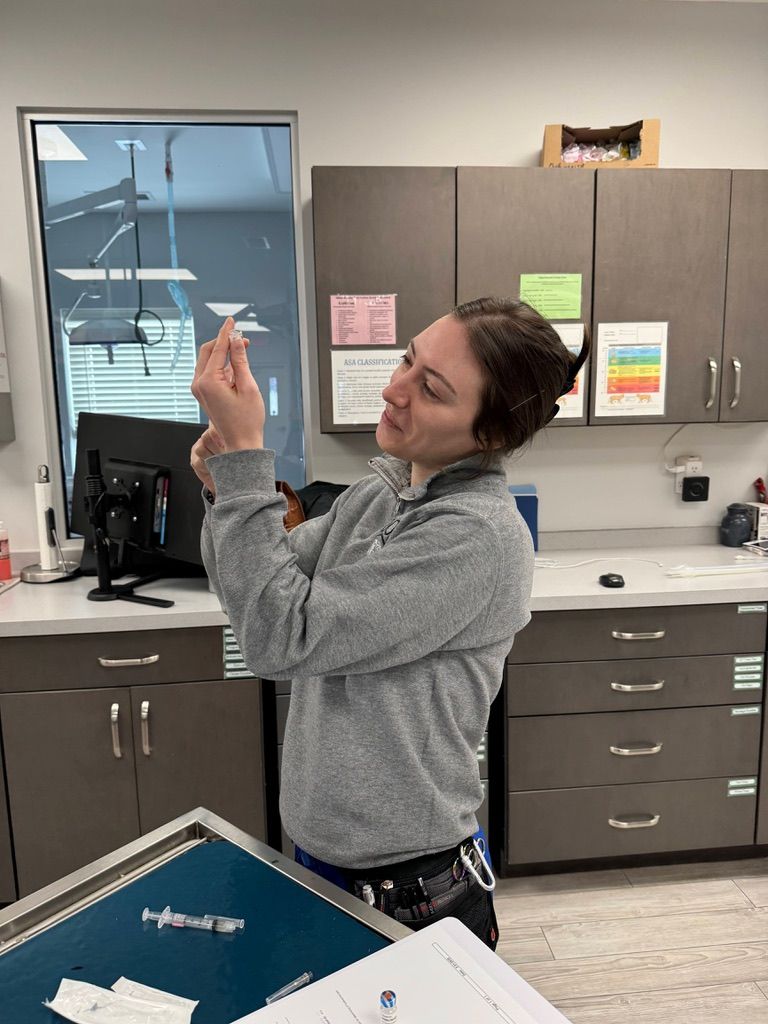 Person holding a syringe, preparing an injection in a medical setting.