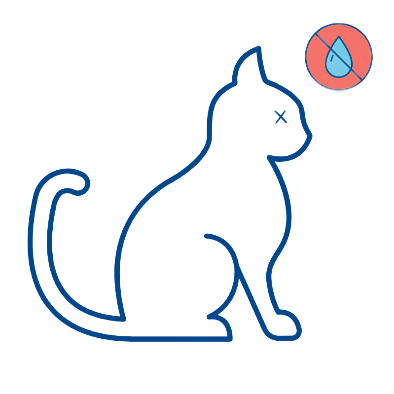 Outline of cat, eyes marked with