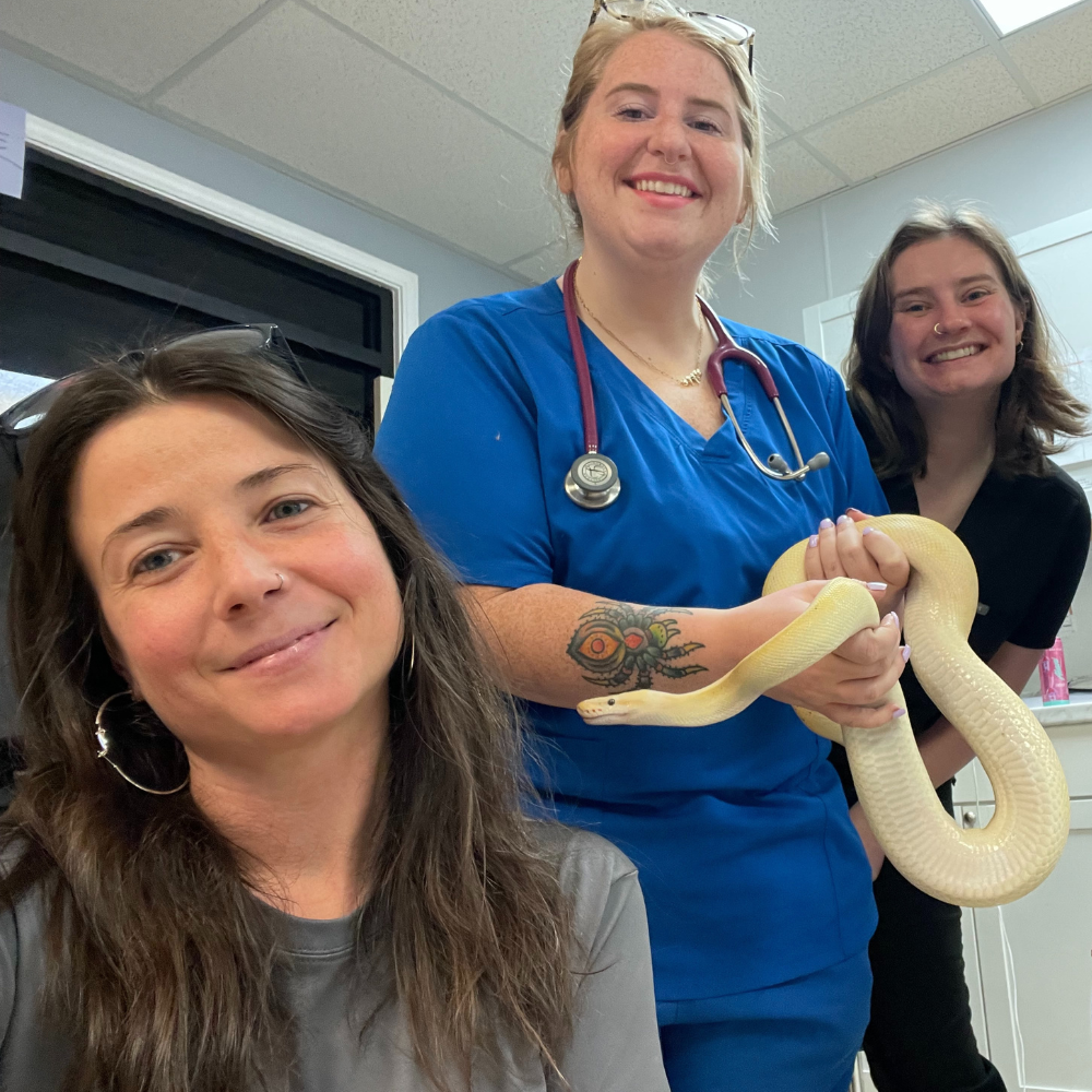 Three people pose with a snake in a veterinary office. A woman in scrubs holds the snake; others smile.