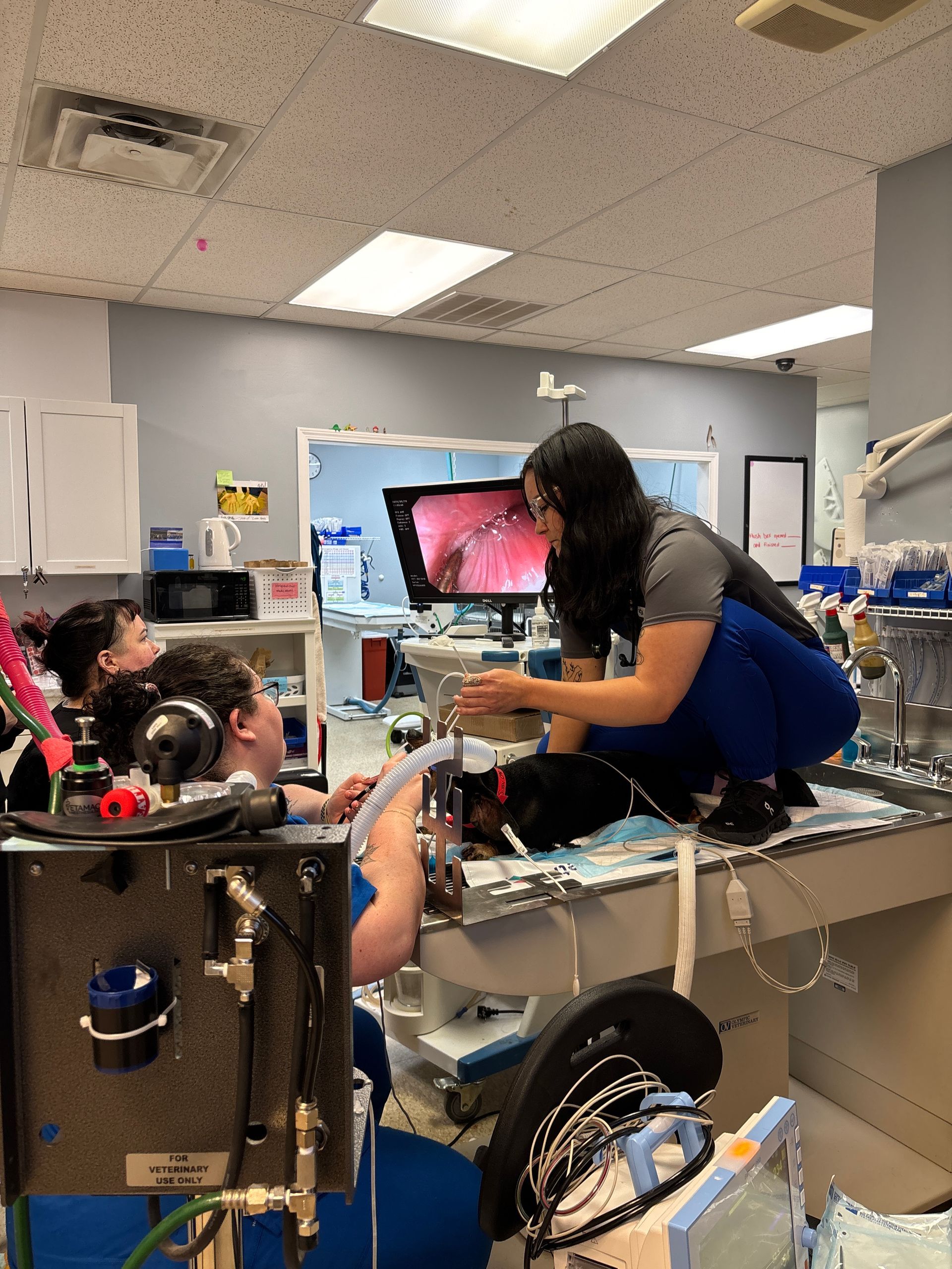 Veterinarian kneels, hugs tan dog in a vet clinic. Both smile.