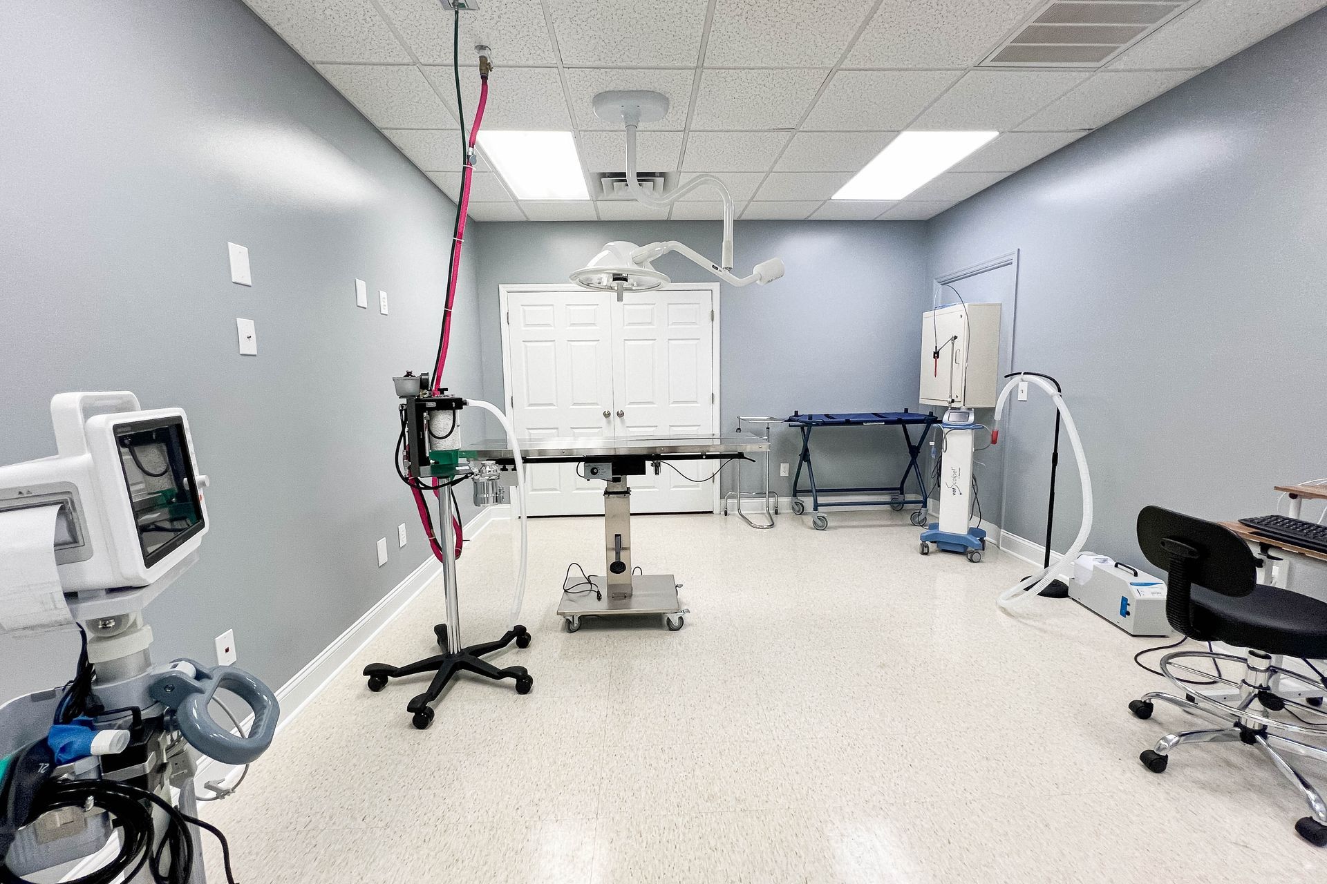 Veterinary operating room with surgical table, medical equipment, and bright lighting.