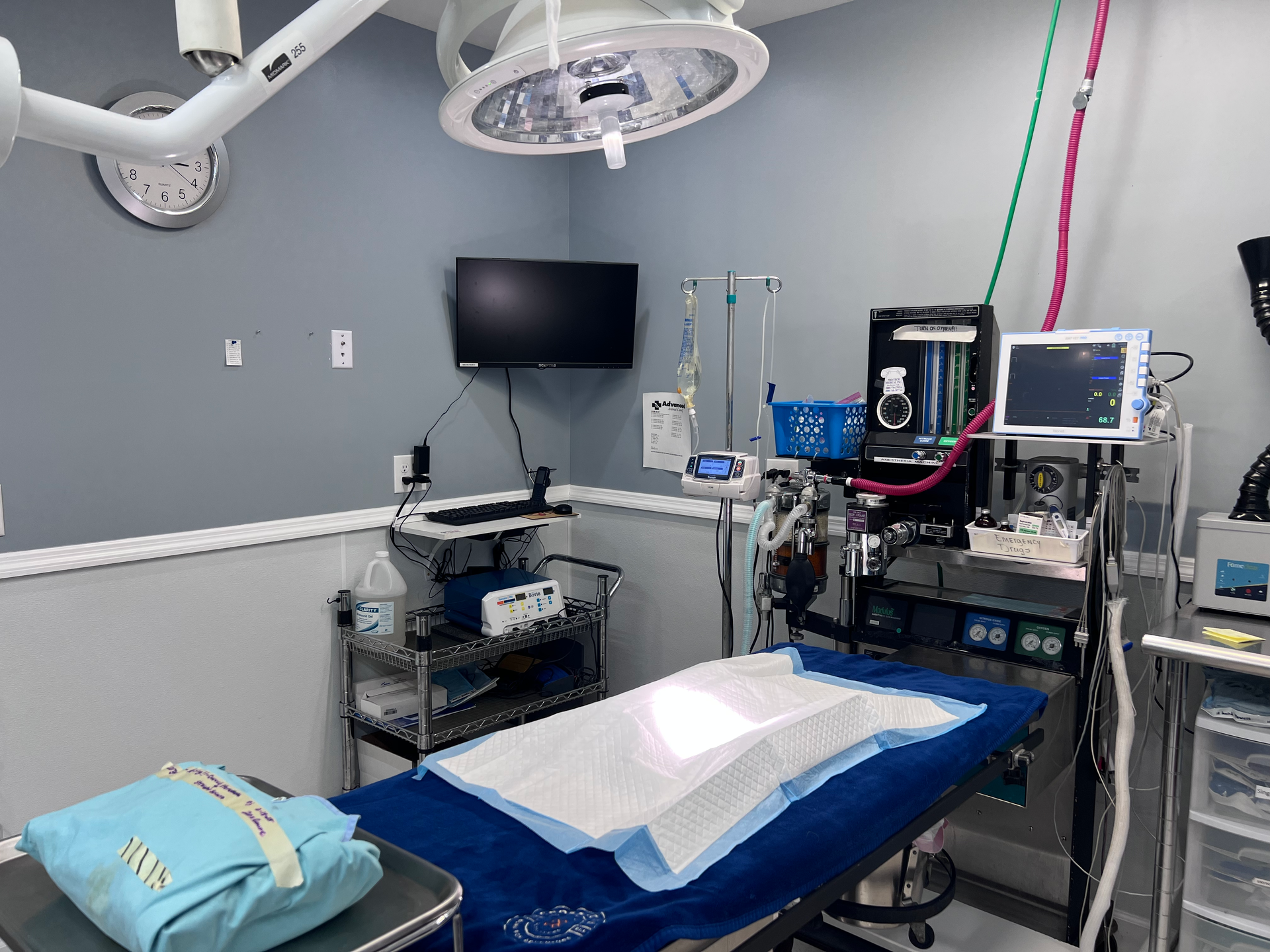 Veterinary operating room with surgical table, medical equipment, and bright overhead light.