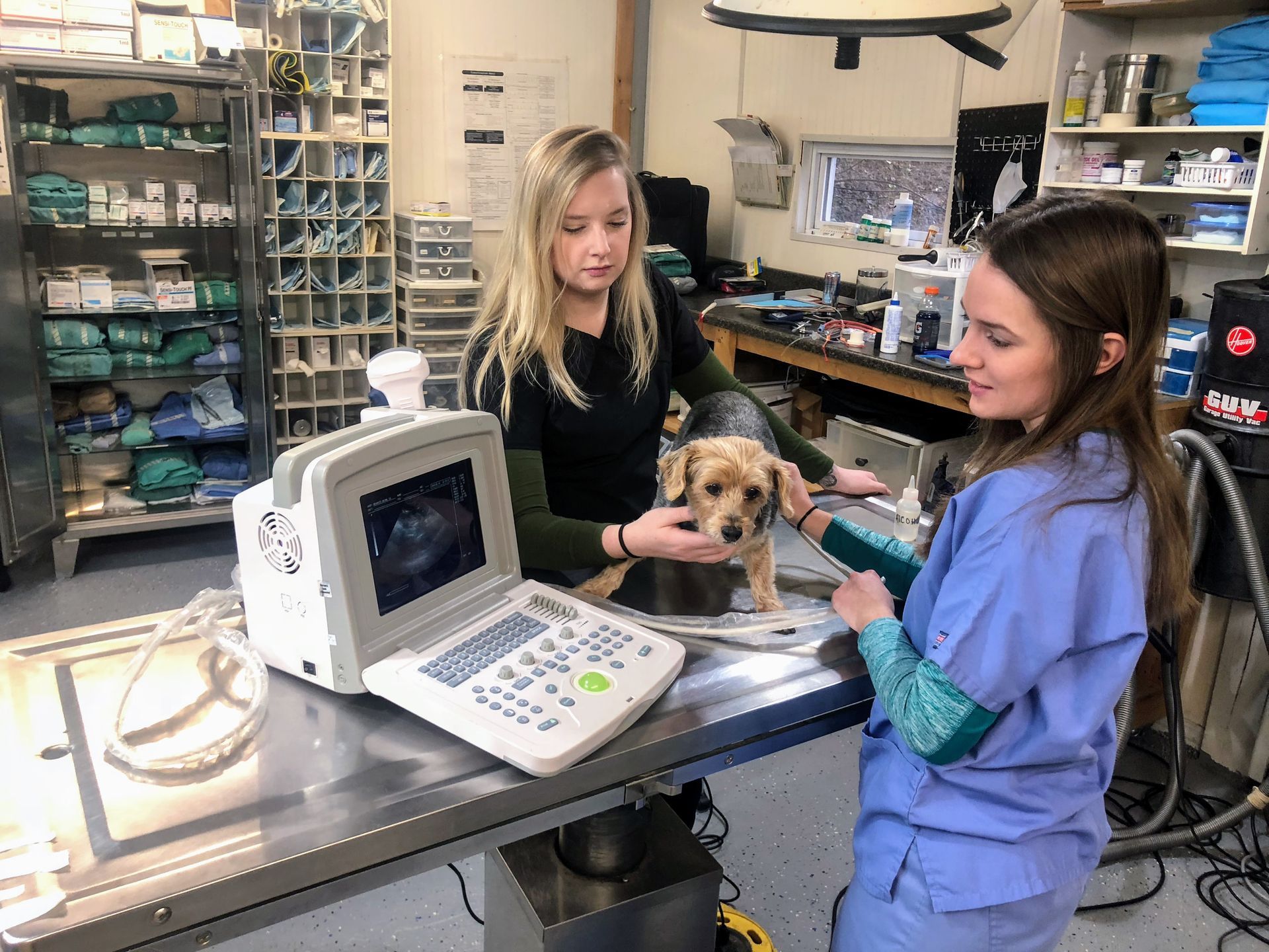 Two people use ultrasound on a dog in a veterinary clinic.