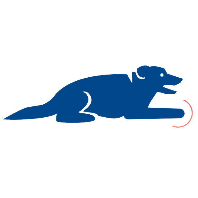 Blue dog, lying down, paws extended towards a curved red line.