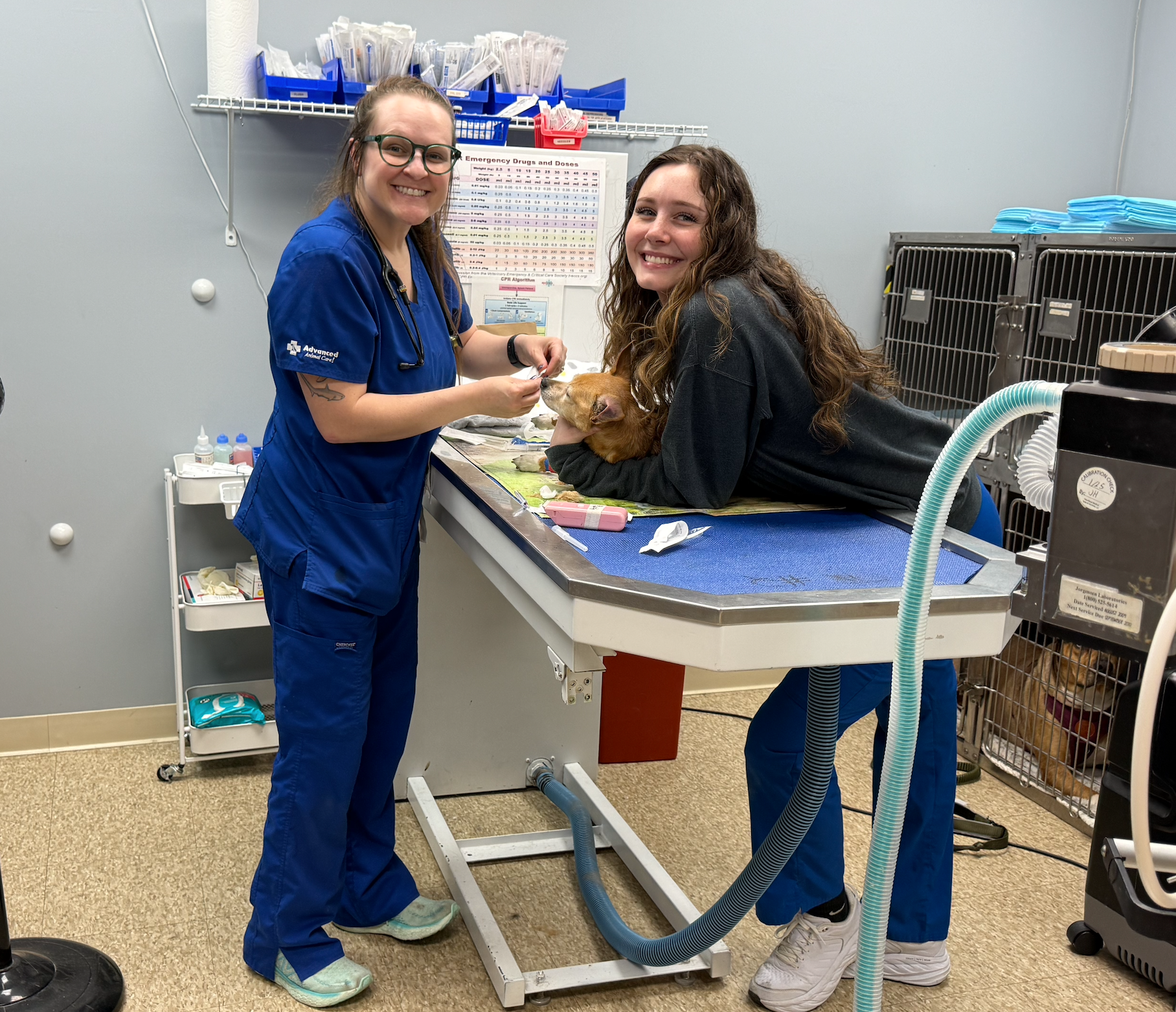 Two women in a vet clinic tend to a small dog on a table; one is working, the other is holding the dog.