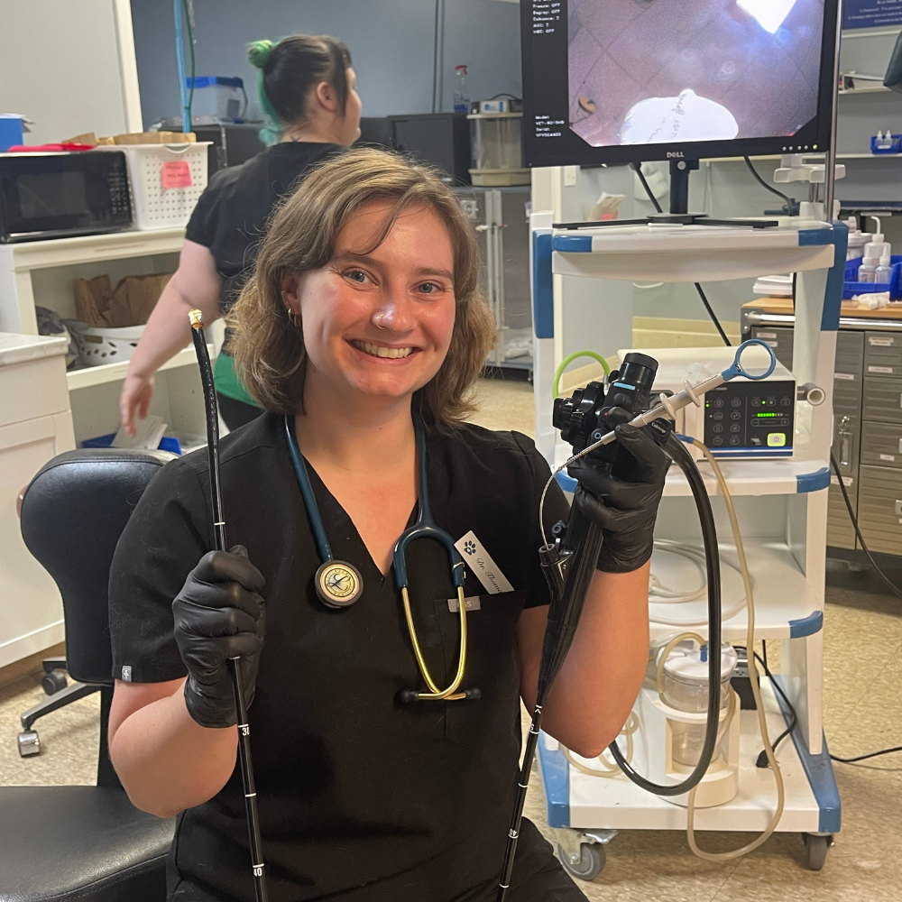 Veterinarian holding endoscope, smiling, in exam room, with monitoring screen and medical equipment.