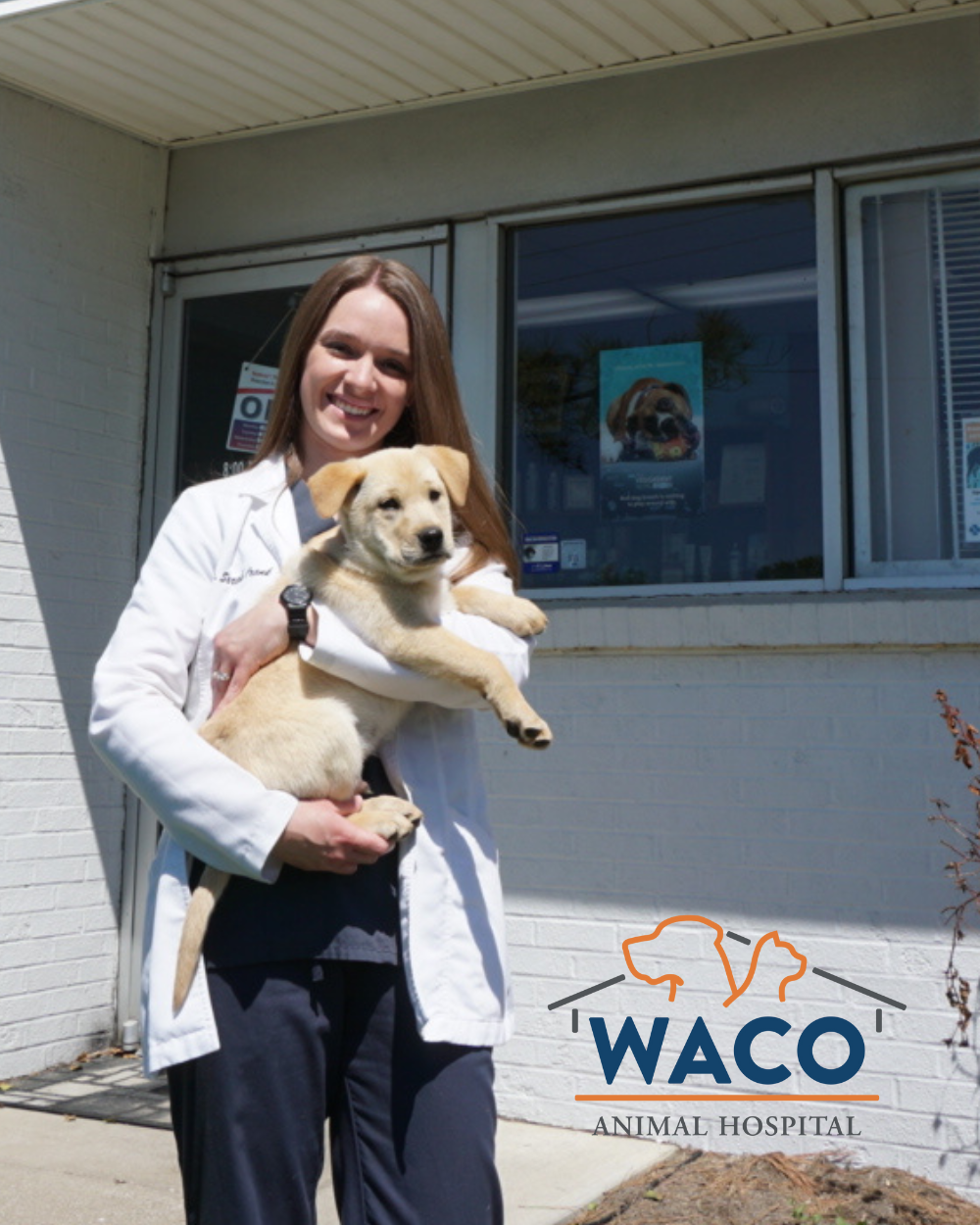 Woman in lab coat holds a puppy outside Waco Animal Hospital.