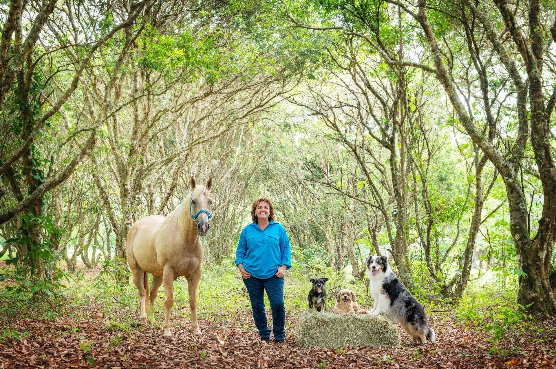 Woman Standing With a Horse and Three Dogs in a Forest — Canine Training School in Trinity Park, QLD