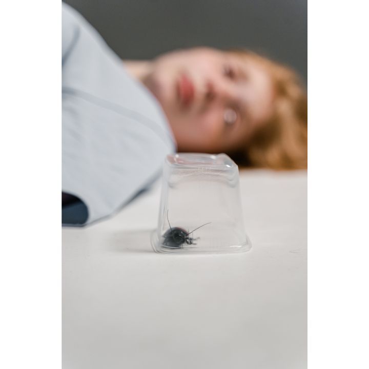 Residential Pest Control in La Vergne, TN