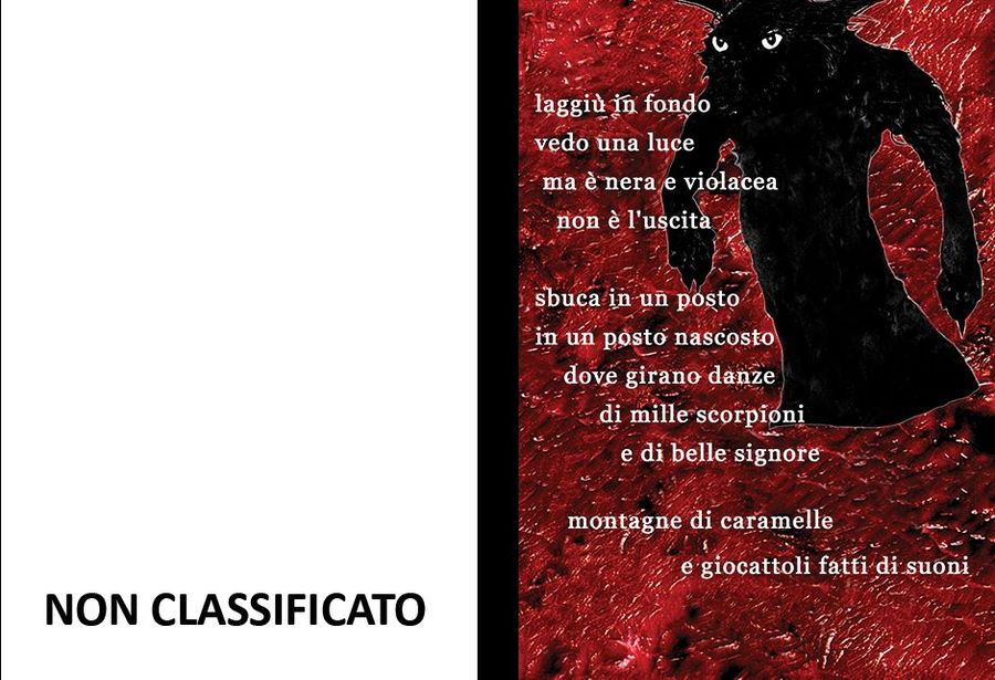 Copertina libro, fronte retro