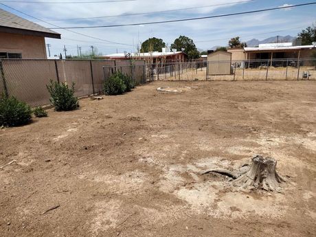 newly cleaned backyard