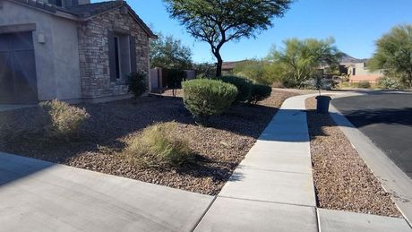 residential front yard