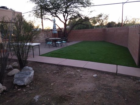 backyard with green lawn