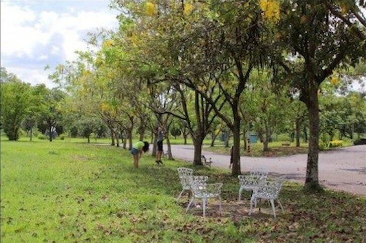 在陰雲密佈的天空下，綠樹成蔭的公園裡有草坪、白色長椅和鋪砌的小路。