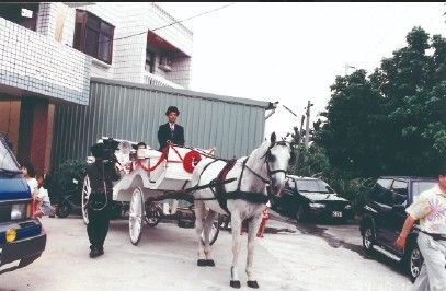 一輛白色馬車由車夫牽引,行駛在街道上,旁邊是停放的汽車和建築物。