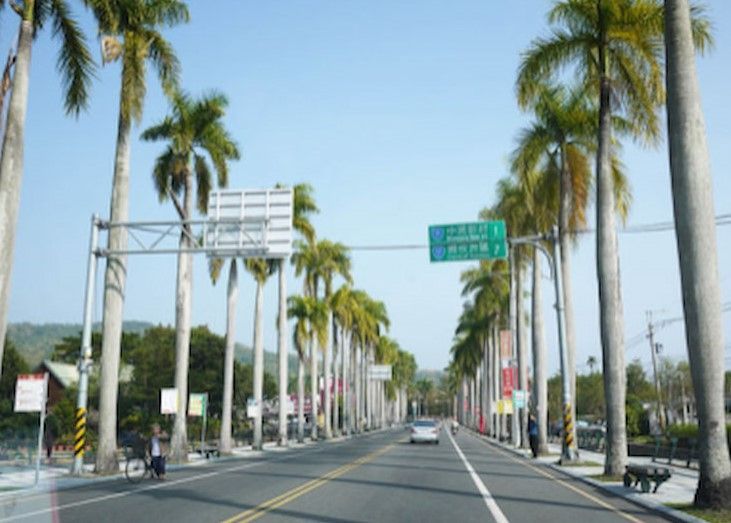棕櫚樹成蔭的寬闊道路，高聳的路牌，湛藍的天空下。