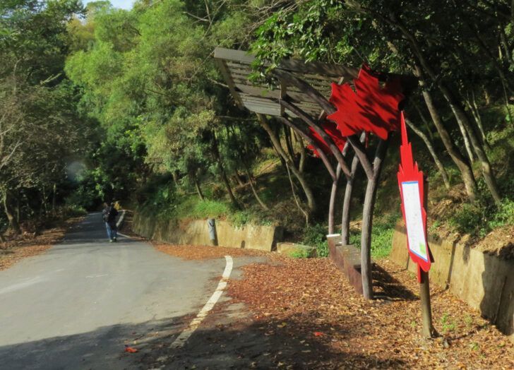 道路蜿蜒，兩側是樹木和石牆，右側路肩上有紅色標誌。