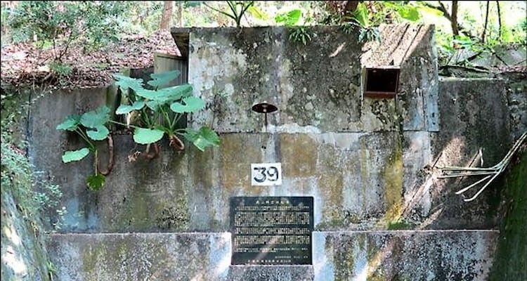 風化的混凝土神龕牆,上面掛著一塊小牌匾,牆面上長滿了綠色植物和苔蘚。