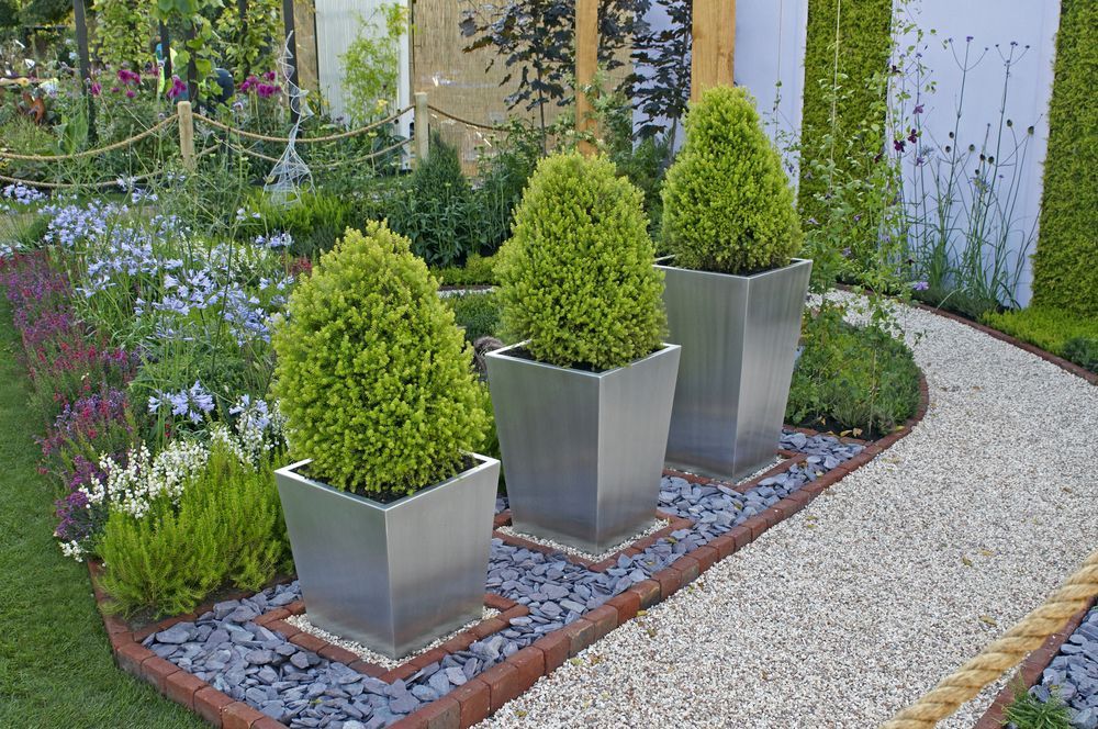 Three Cone-shaped Green Plants in Silver Square Planters — Precision Fencing & Landscaping in Thurgoona, NSW