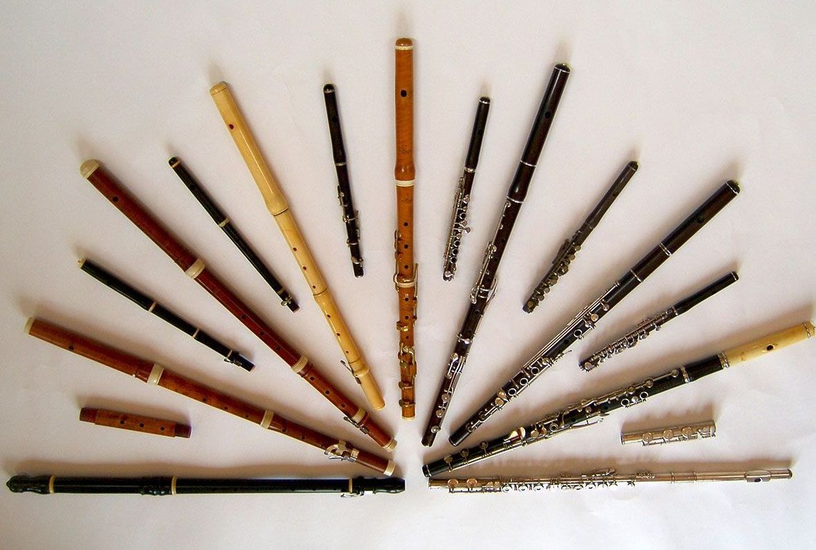 Collection of Flutes displayed