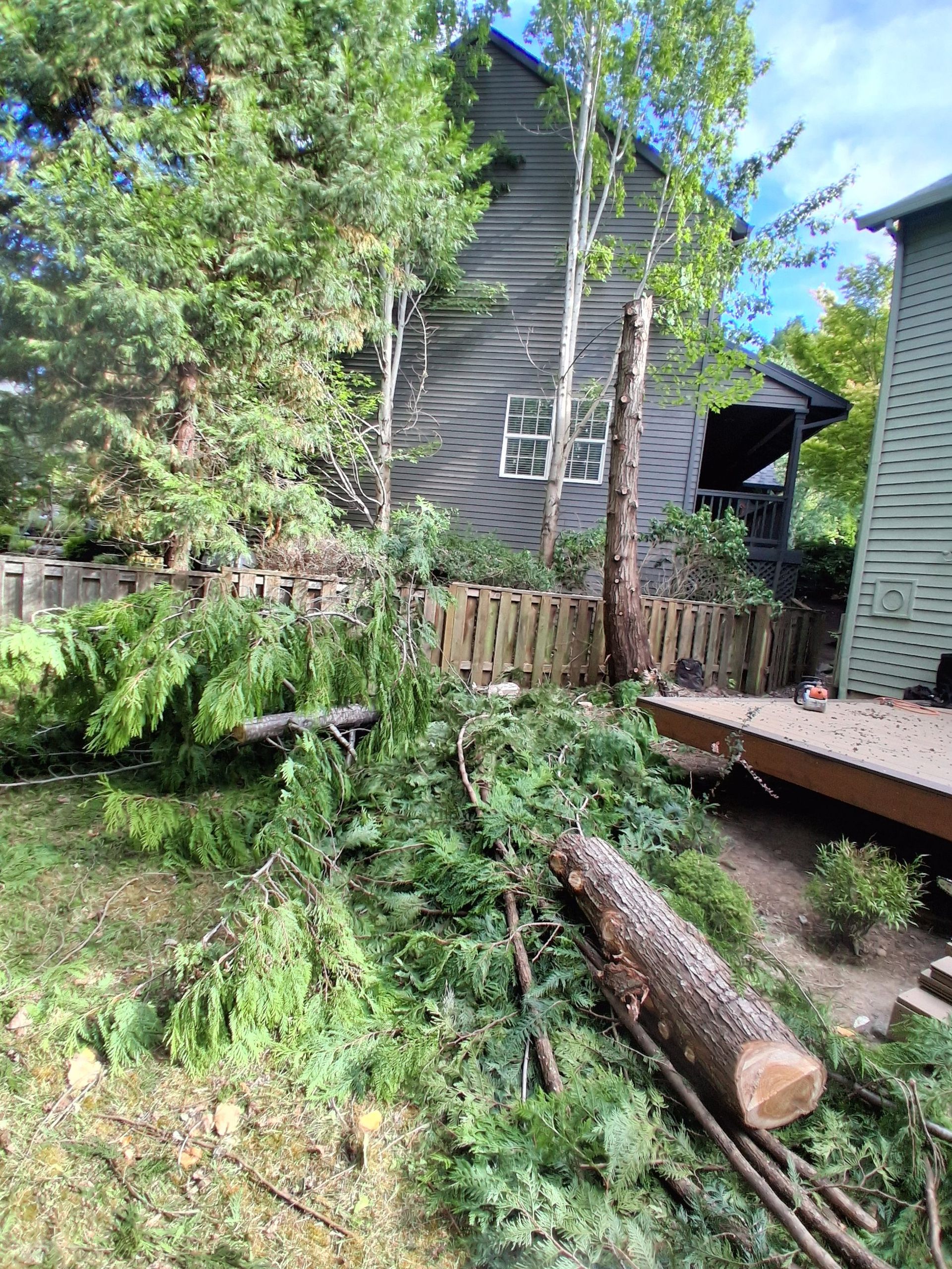 Fallen tree trunk in a wooded yard beside a fence and house, with greenery and a wooden deck.