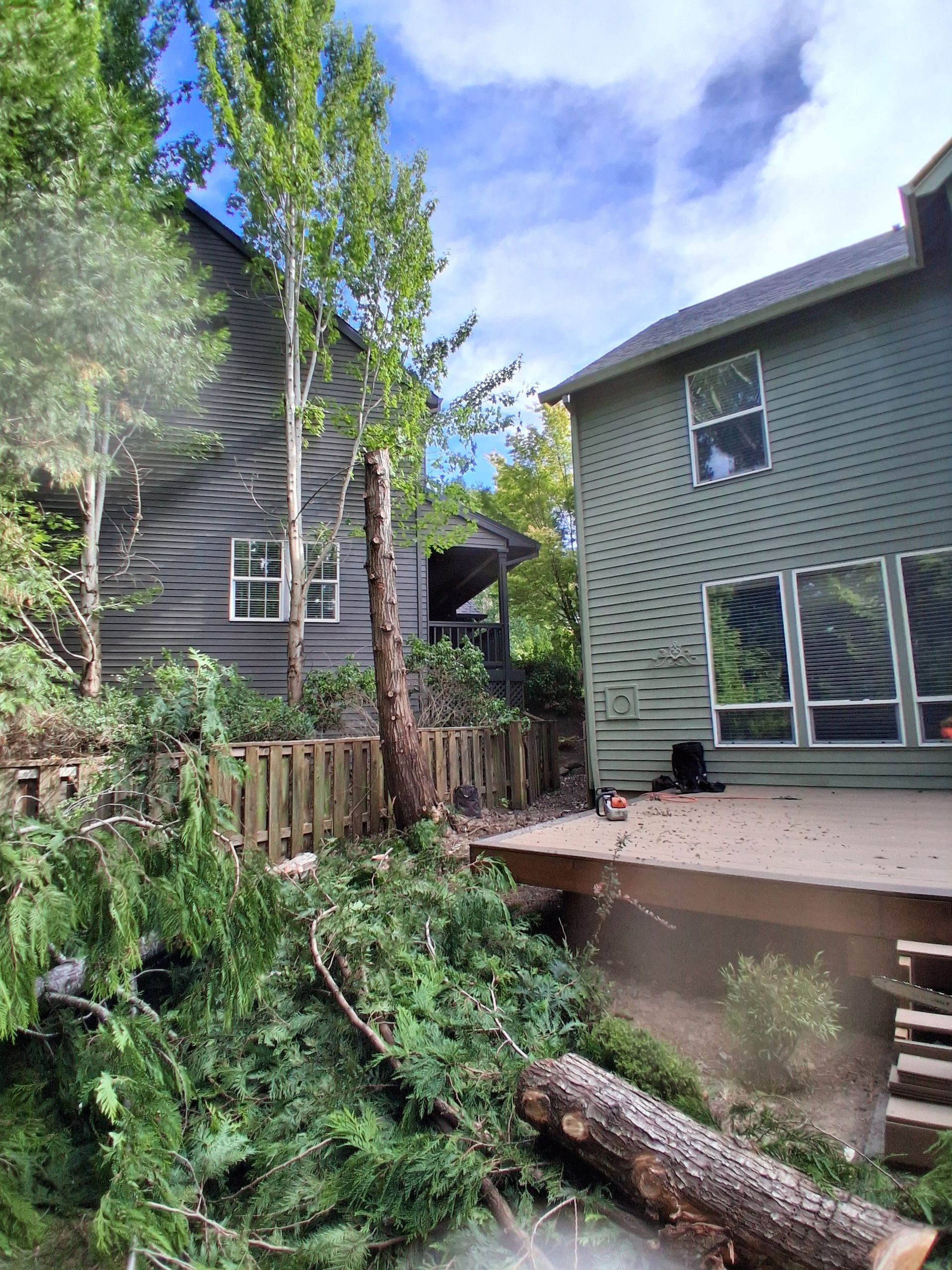 Backyard with two green-sided houses, deck, trees, and a fallen log in the foreground