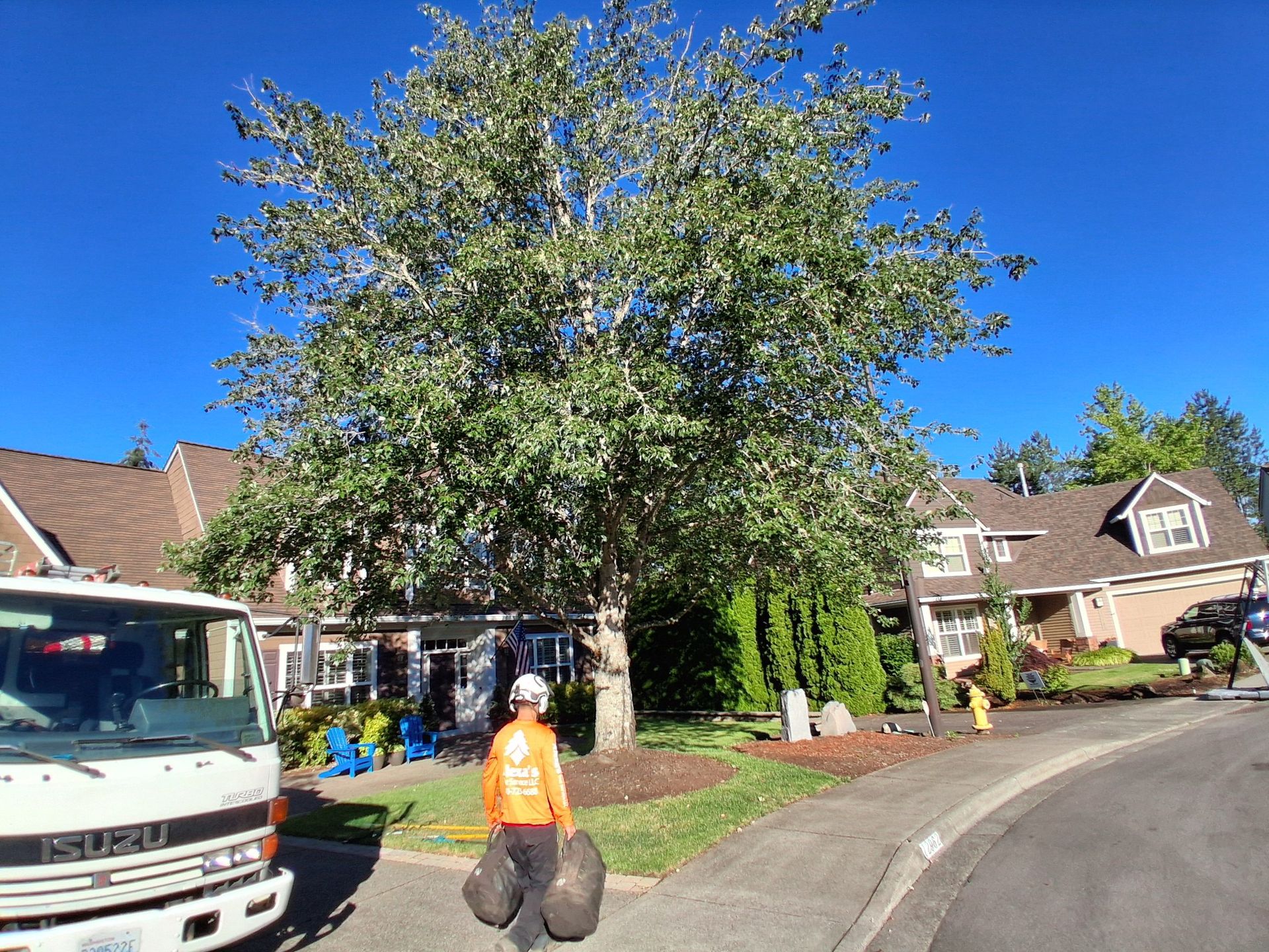 Person in orange vest carrying trash bags on a suburban street beside a parked van and houses