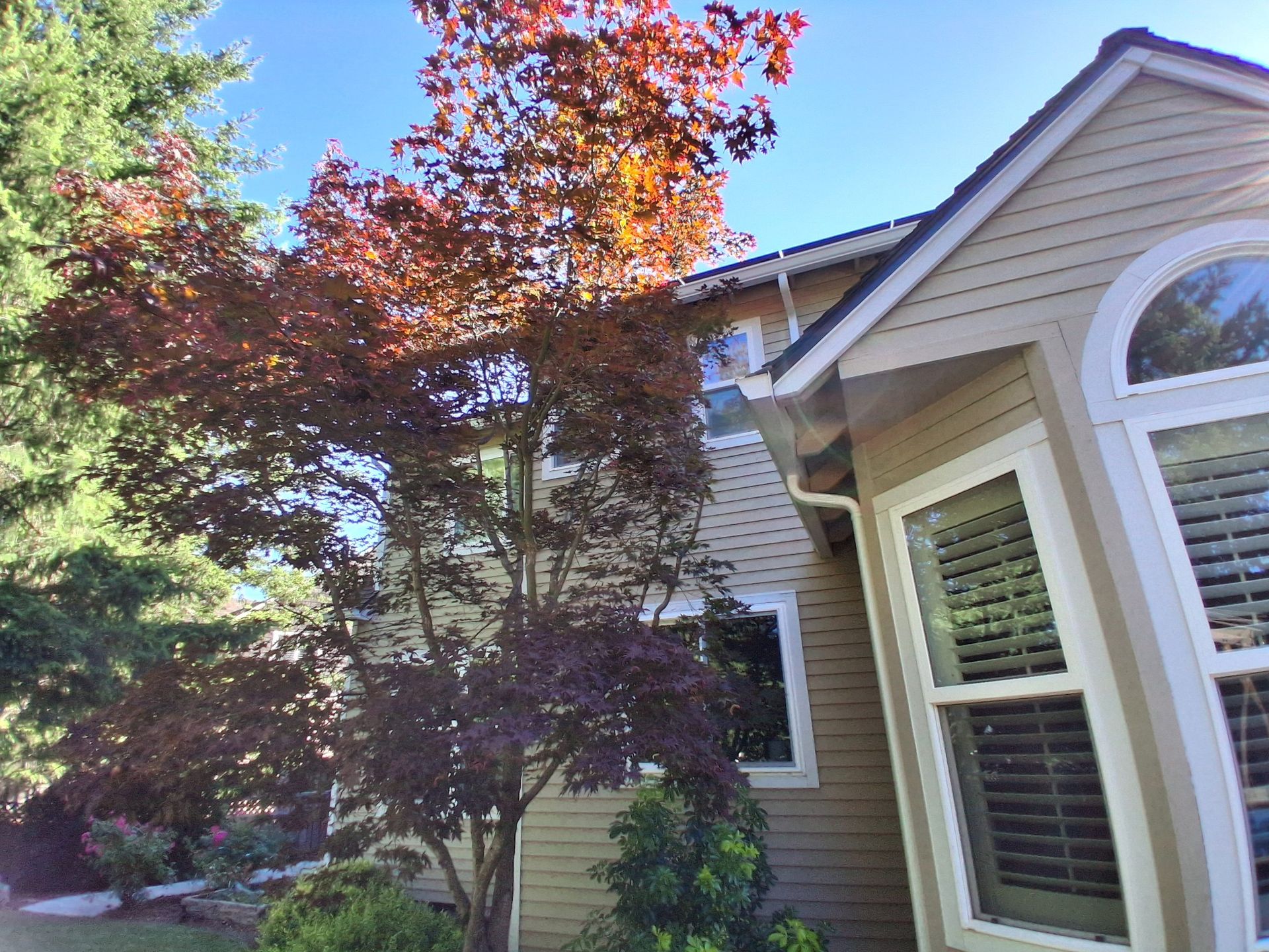 Suburban house exterior with beige siding, white trim, and a tree with red and green leaves in front