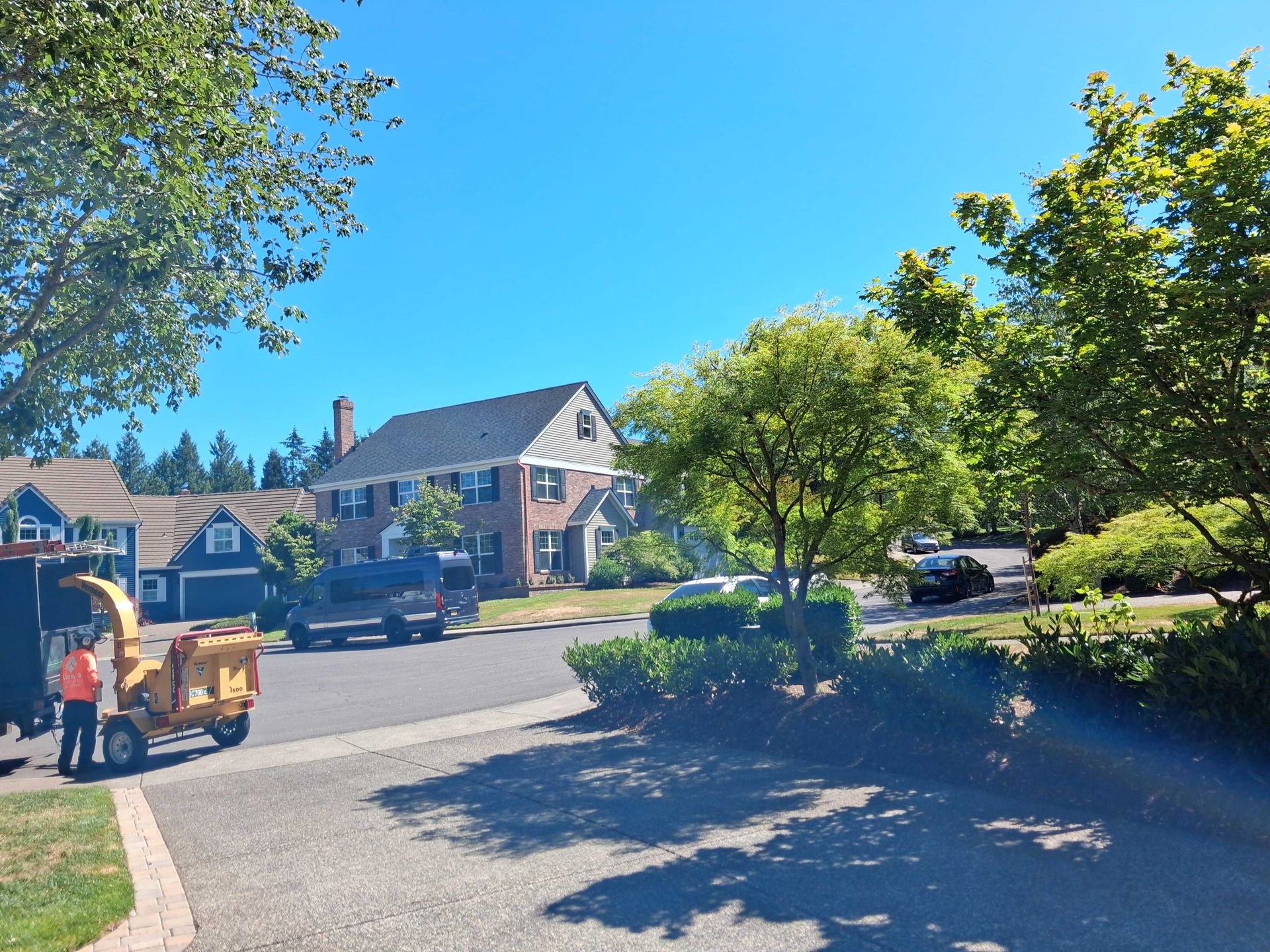 Sunny suburban street with houses, trees, parked cars, and a person beside a small utility vehicle