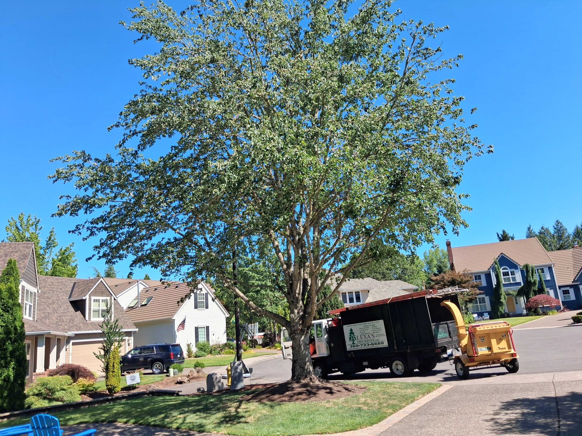 Residential street with trees, houses, and a black utility truck parked by the curb under a clear blue sky
