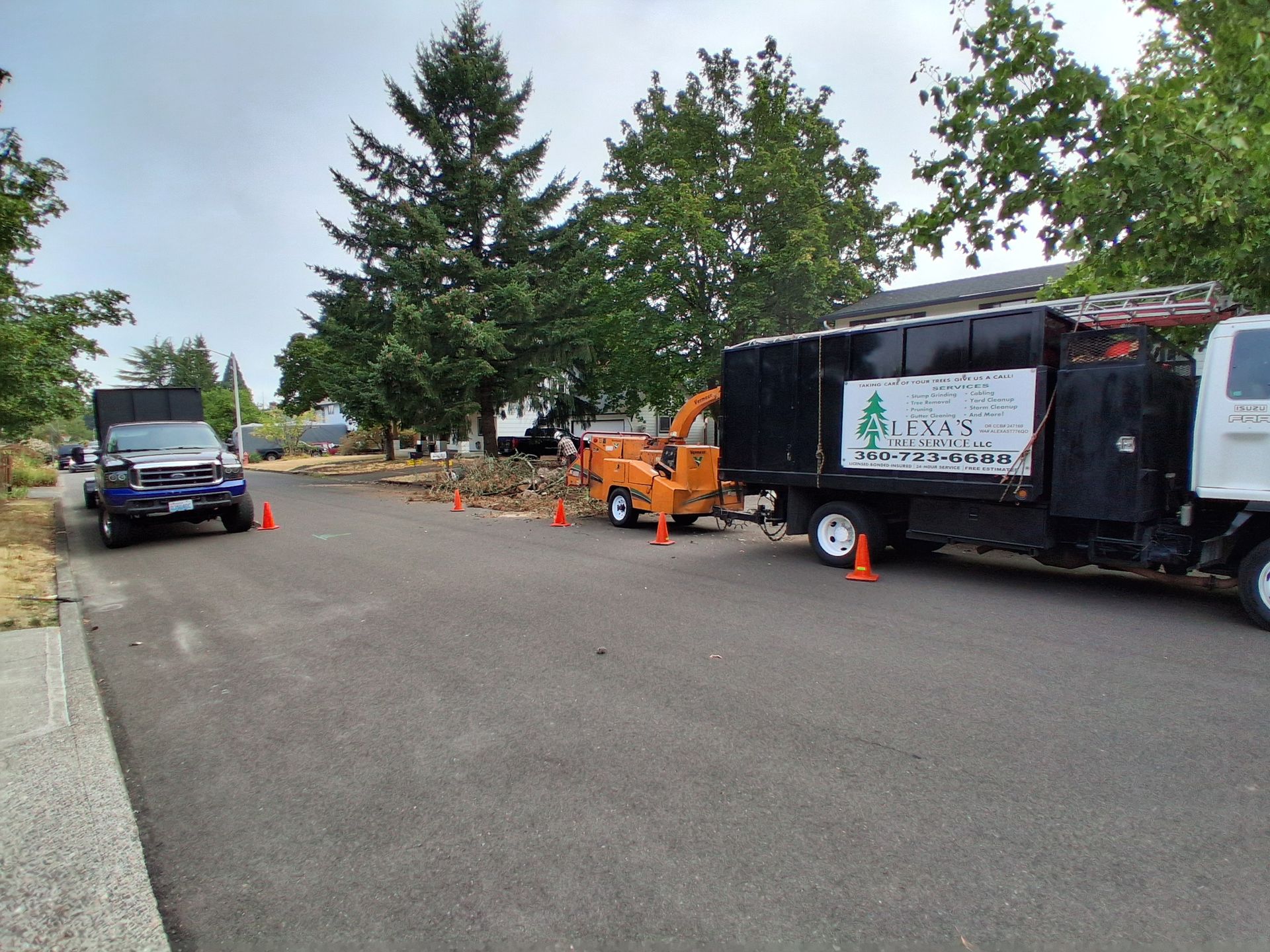 Tree-service truck and orange wood chipper on a road beside a large fallen tree, with cones marking the work area.