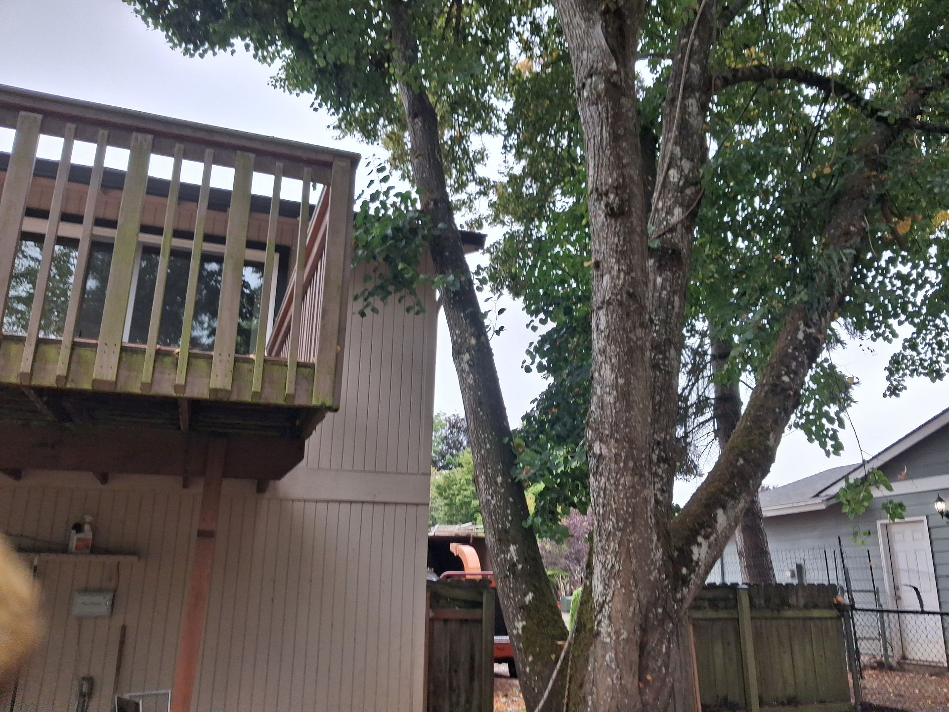 Backyard deck with wooden railing, tree trunk, and fenced yard beside a house