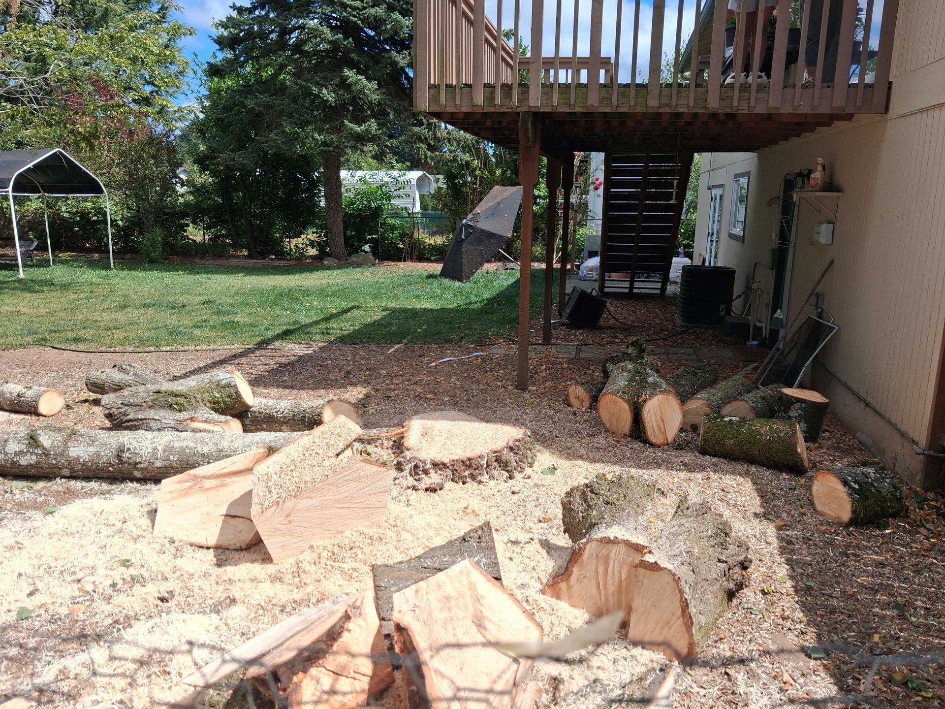 Backyard with a woodpile and cut tree logs under a raised deck beside a house
