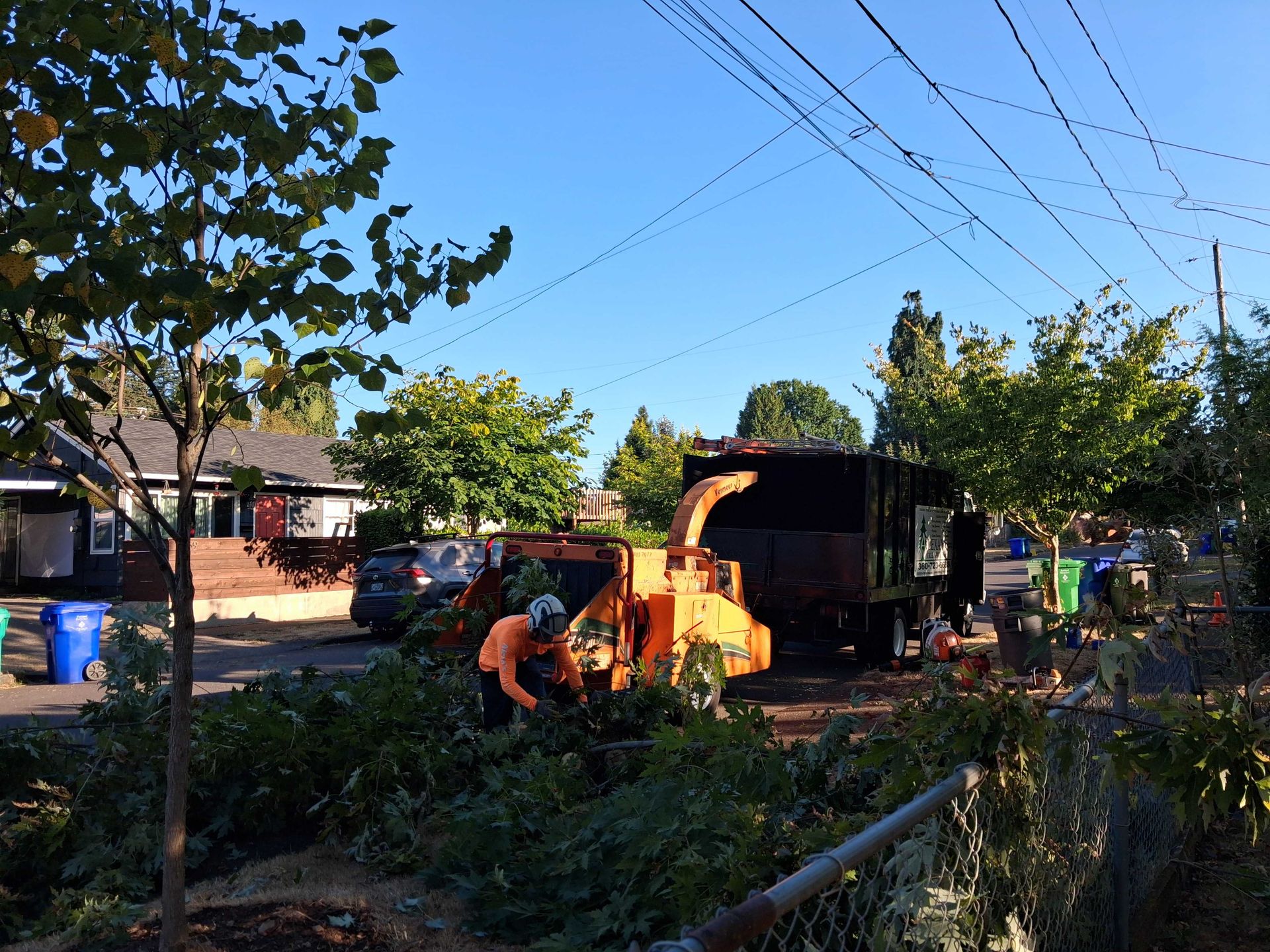 Tree service workers operate an orange wood chipper beside a black truck on a sunny residential street.