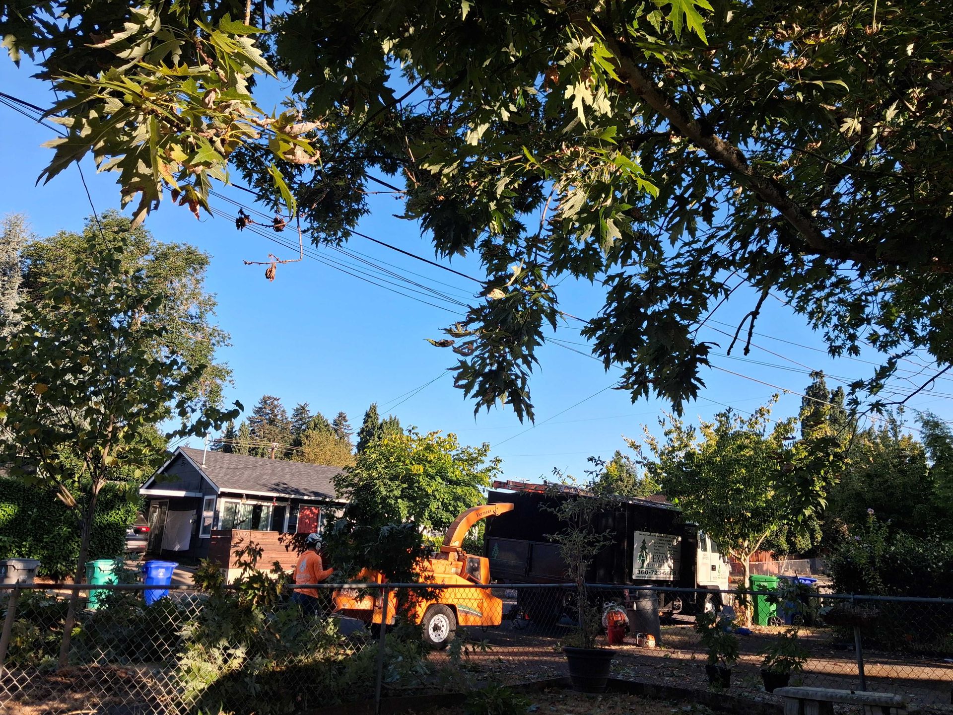 Orange excavator and truck in a tree-lined residential yard under a blue sky.