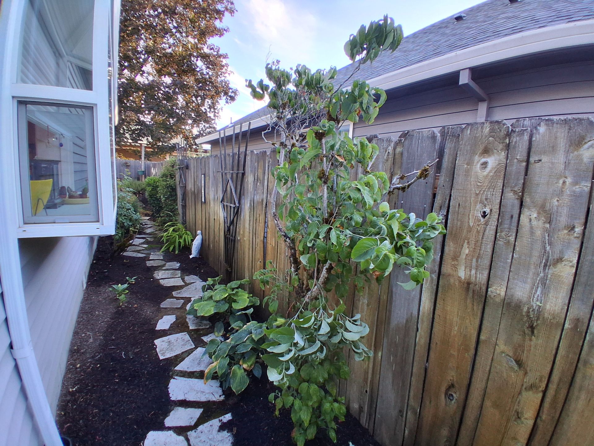 Narrow side yard with a wooden fence, stepping stones, and a small leafy tree beside a house.