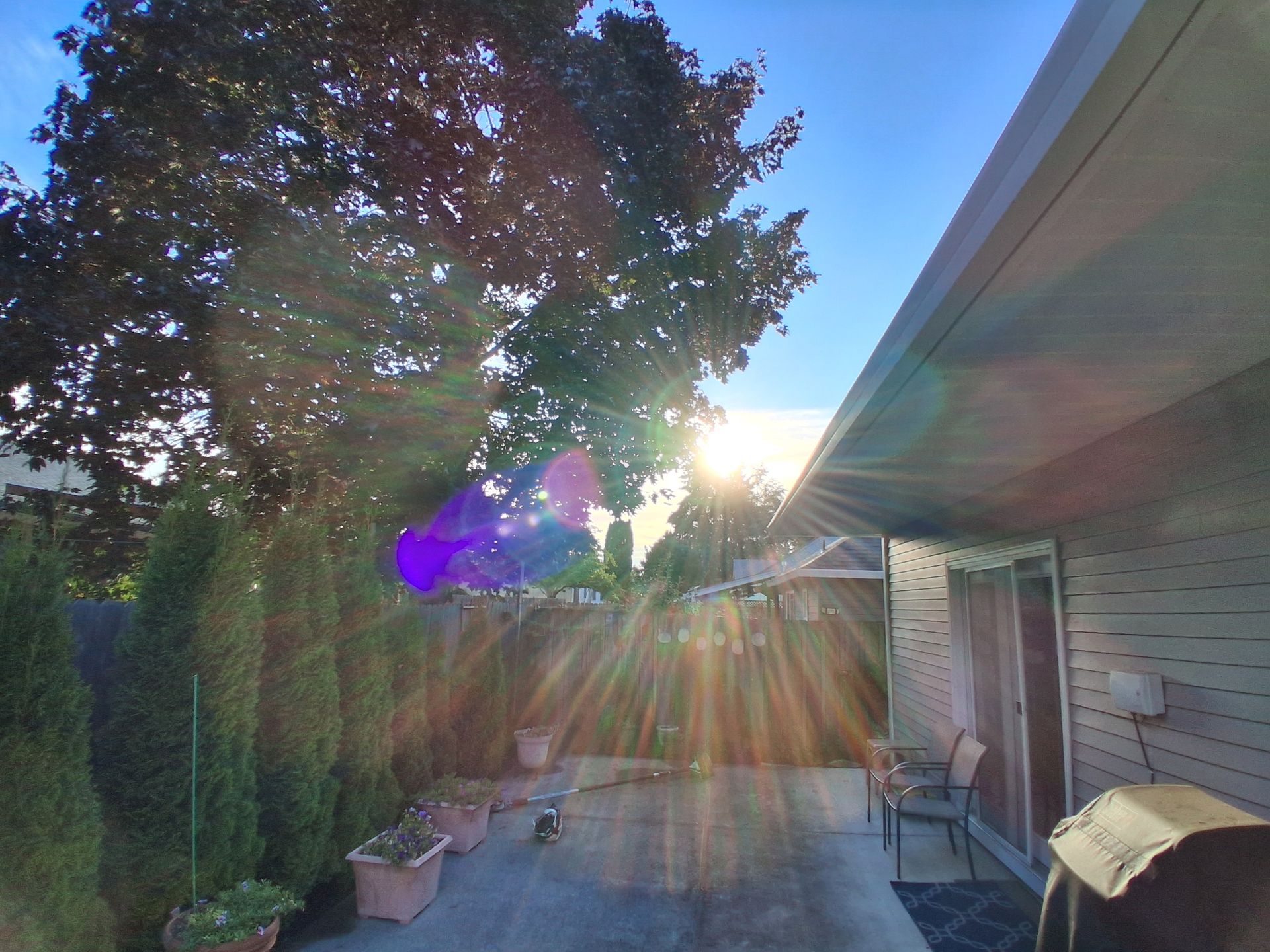 Backyard patio at sunset with sun glare, trees, fence, and house siding