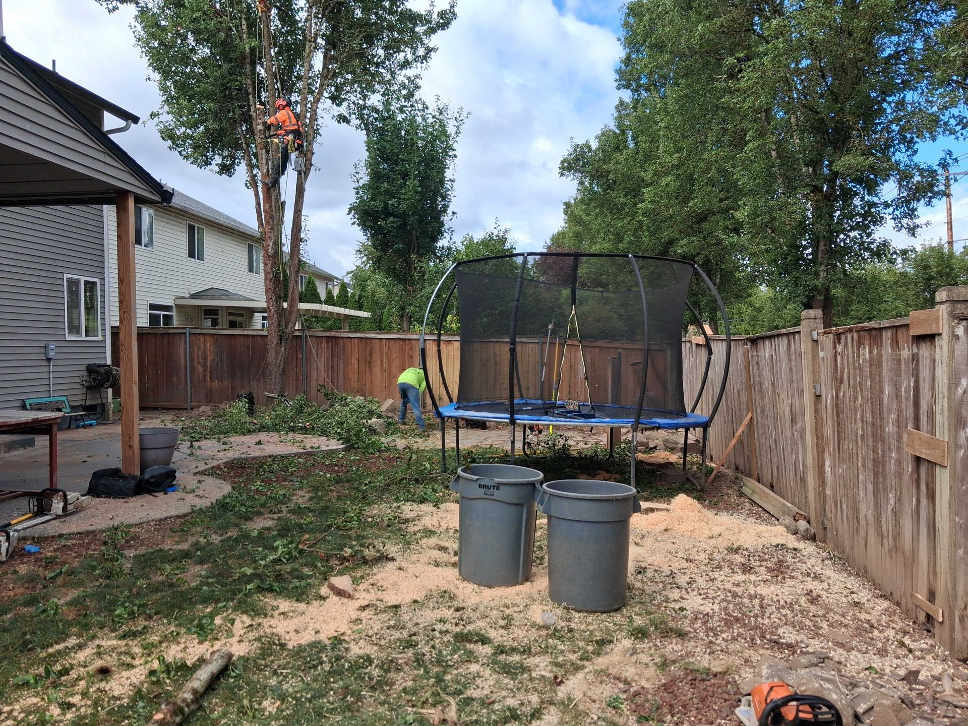 Backyard with trampoline, two gray bins, and a worker in an orange safety harness trimming a tall tree