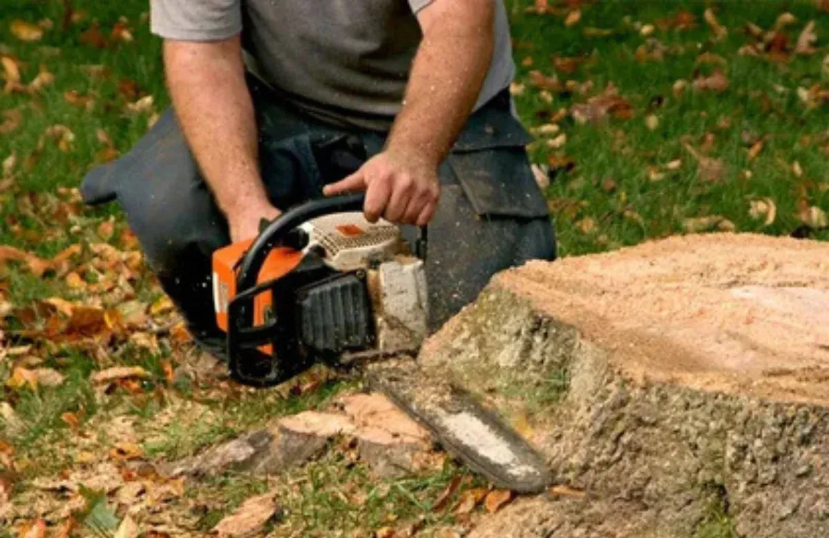 Person using a chainsaw to cut a tree stump outdoors in a yard with fallen leaves