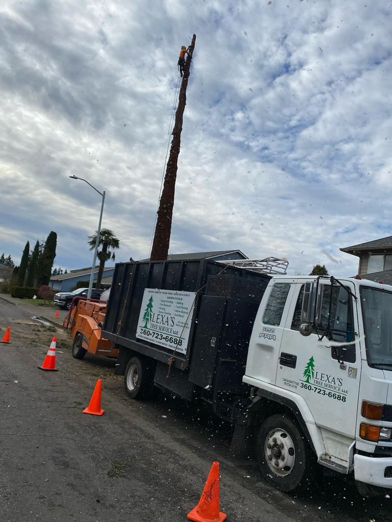 Utility truck with a tall pole lift parked by orange cones on a roadside under a cloudy sky