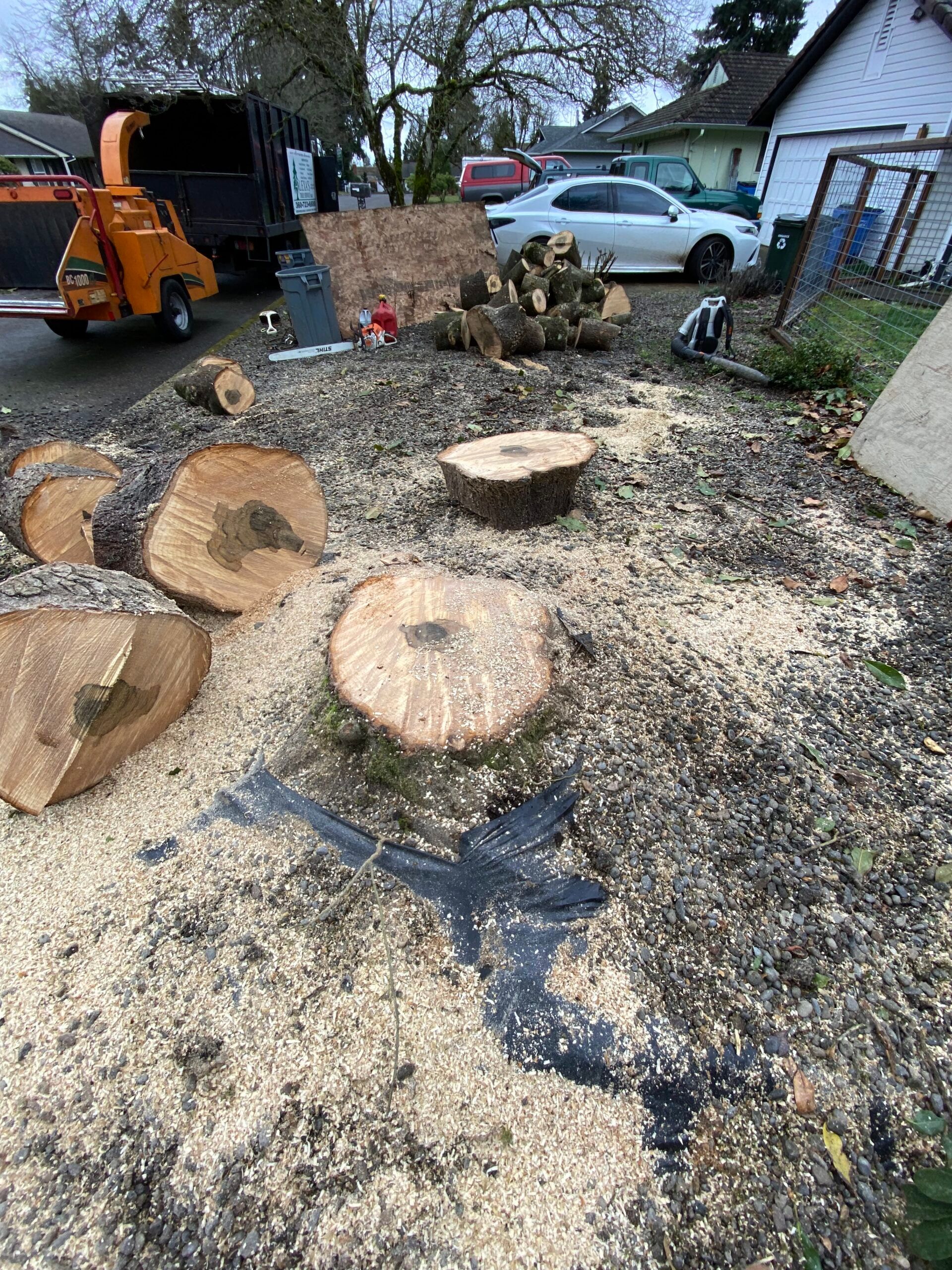 Tree stumps and sawdust in a yard with an orange loader and parked cars nearby.