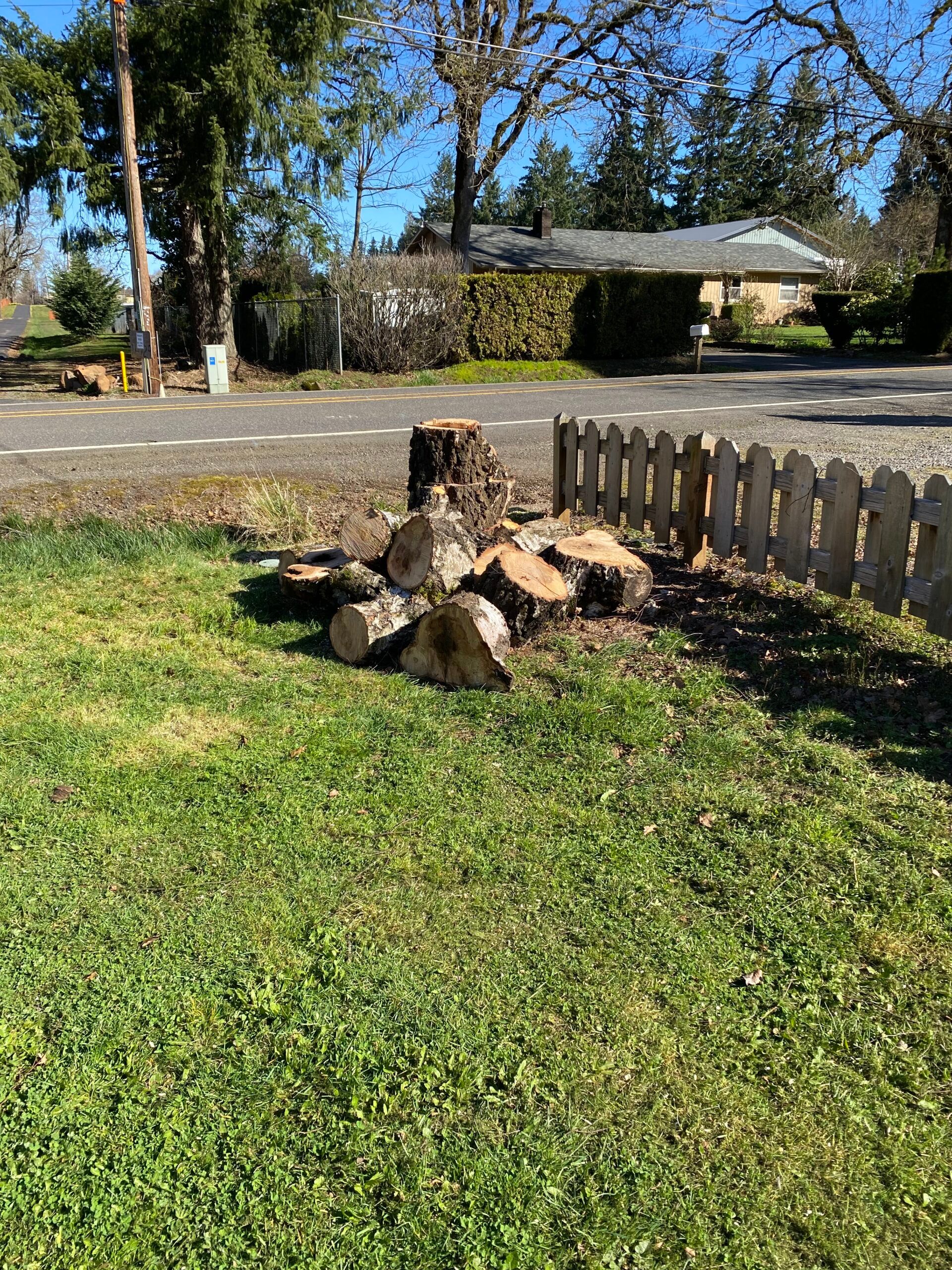 Small stone fire pit beside a wooden fence on a sunny grassy front yard.