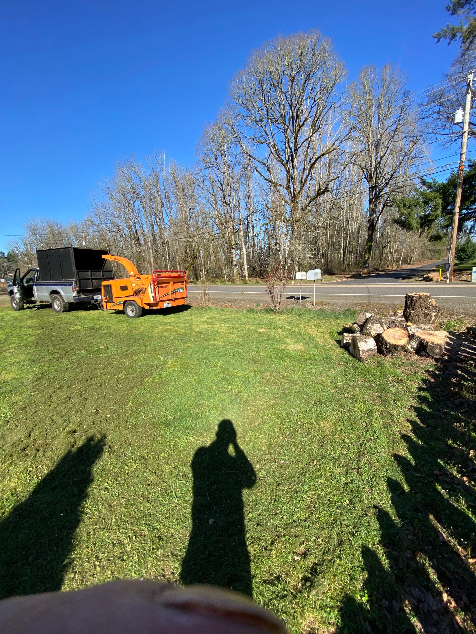Orange machinery and a black truck on a grassy roadside under leafless trees, with long shadows in the foreground